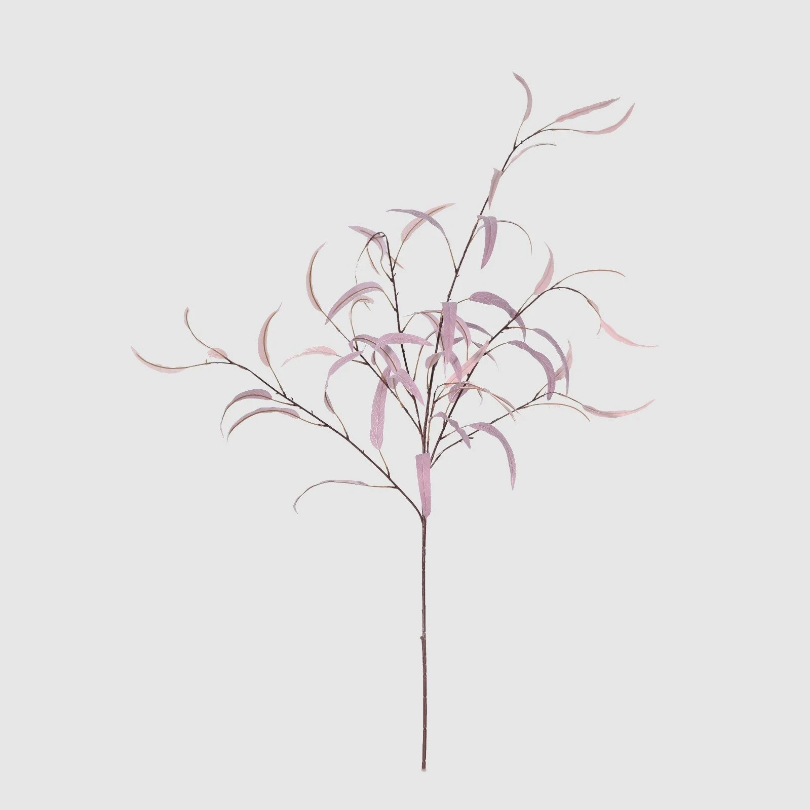 WhatsApp Image 2026-01-31 at 03.20.08 (5).jpeg