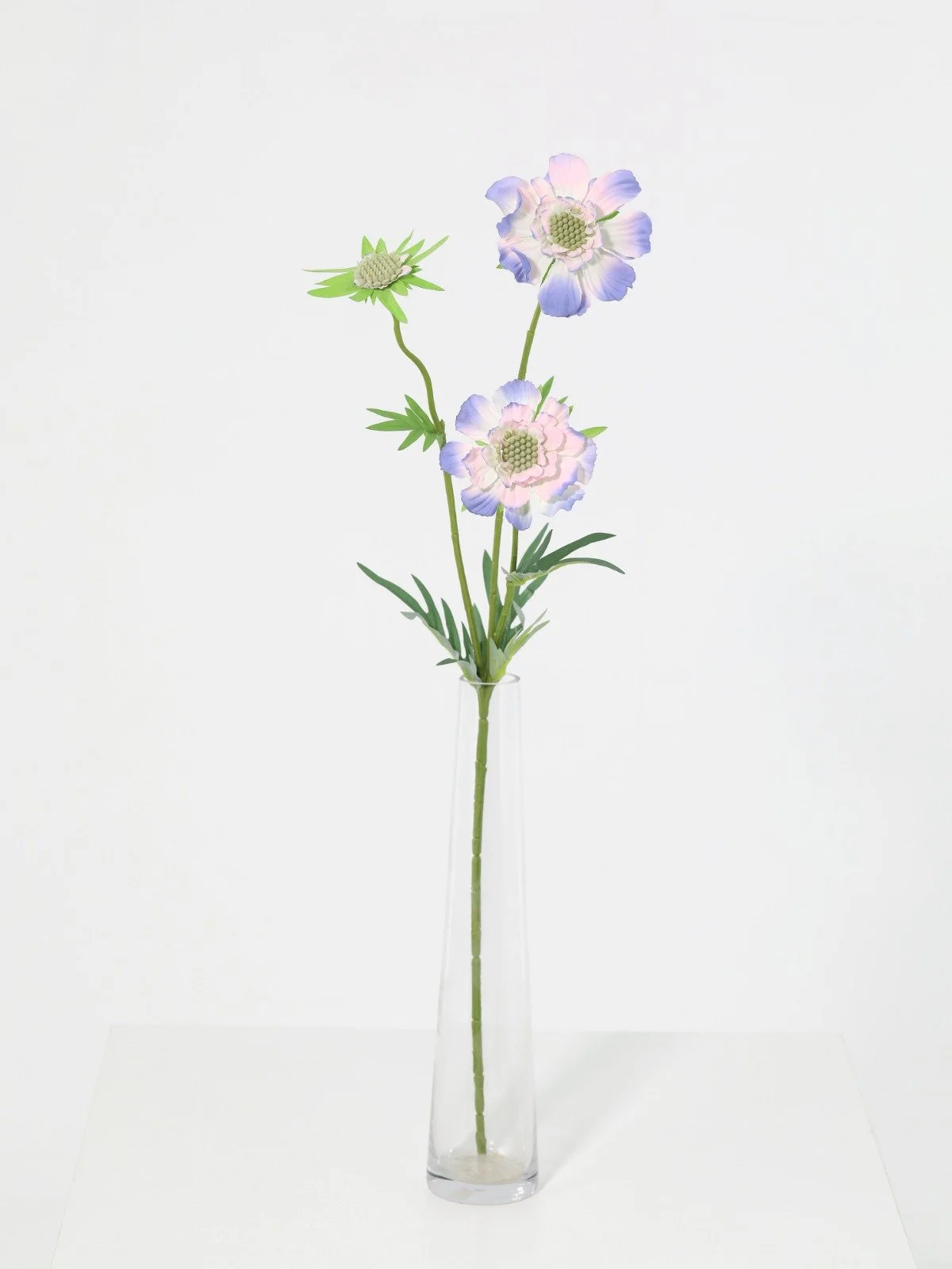 WhatsApp Image 2026-01-30 at 08.49.12 (8).jpeg