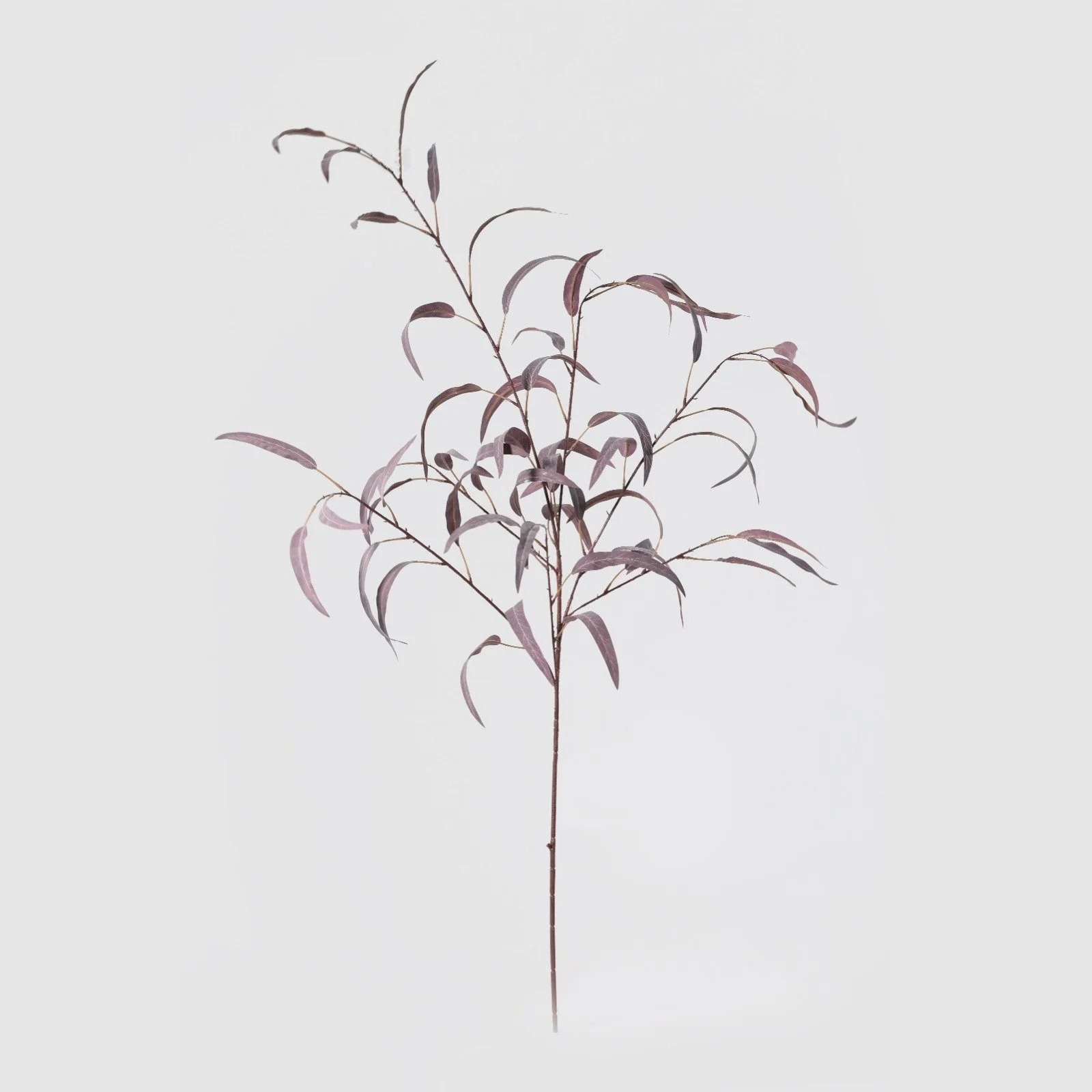 WhatsApp Image 2026-01-31 at 03.20.08 (11).jpeg