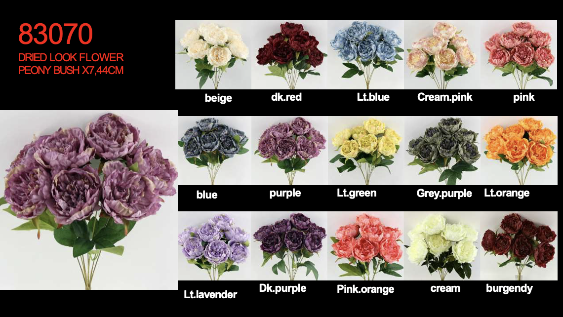 Screenshot 2026-01-31 at 8.46.14 AM.png