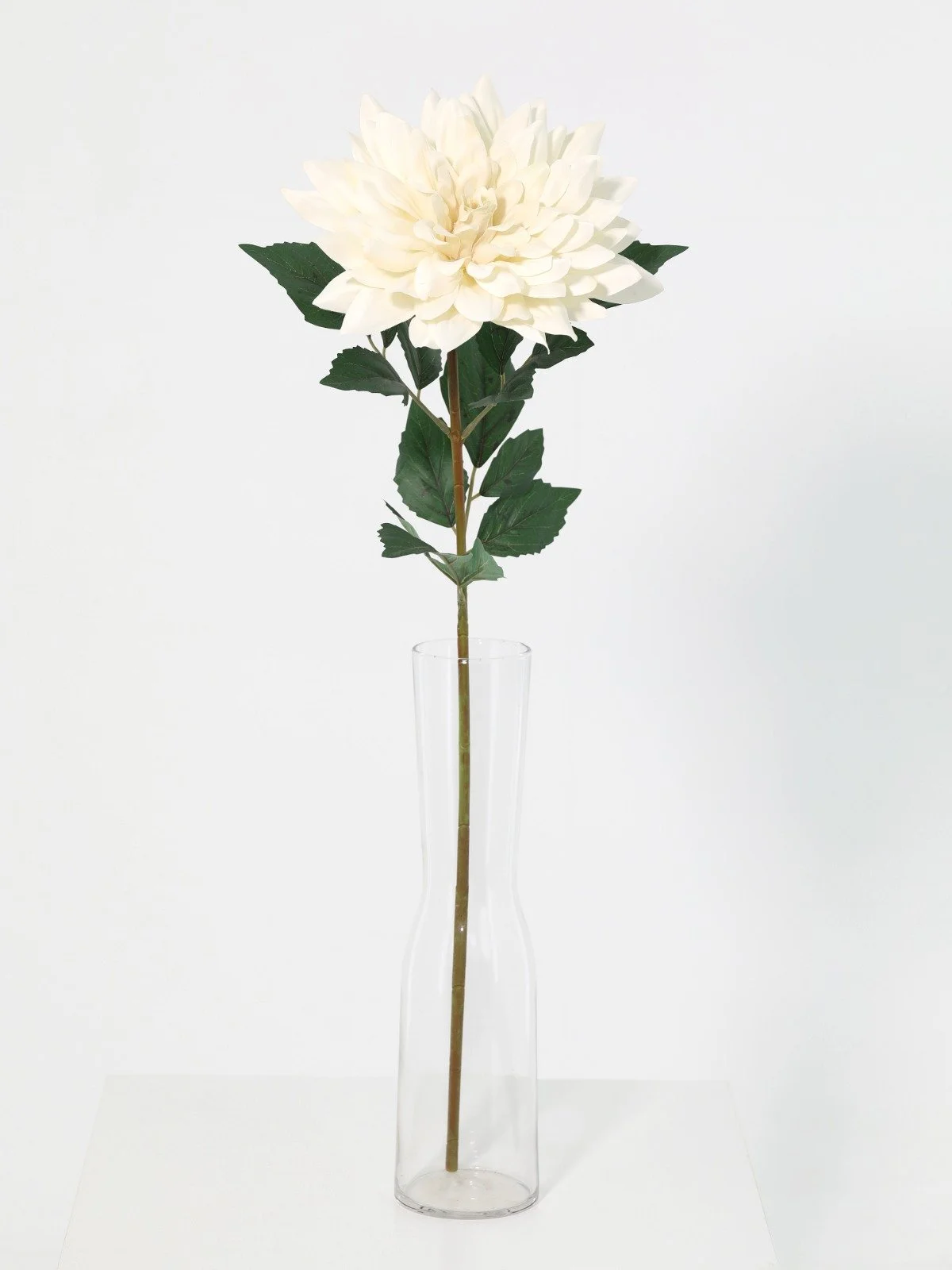 WhatsApp Image 2026-01-30 at 08.47.08.jpeg