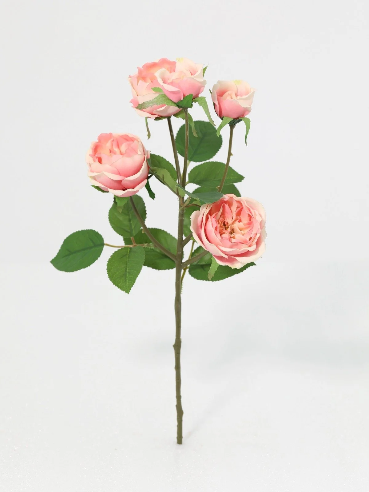 WhatsApp Image 2026-01-30 at 08.49.03 (8).jpeg