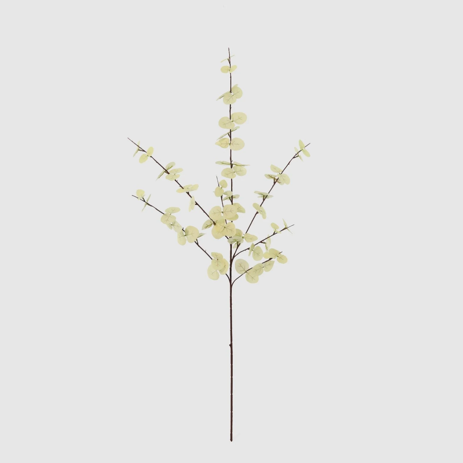 WhatsApp Image 2026-01-31 at 03.20.07.jpeg