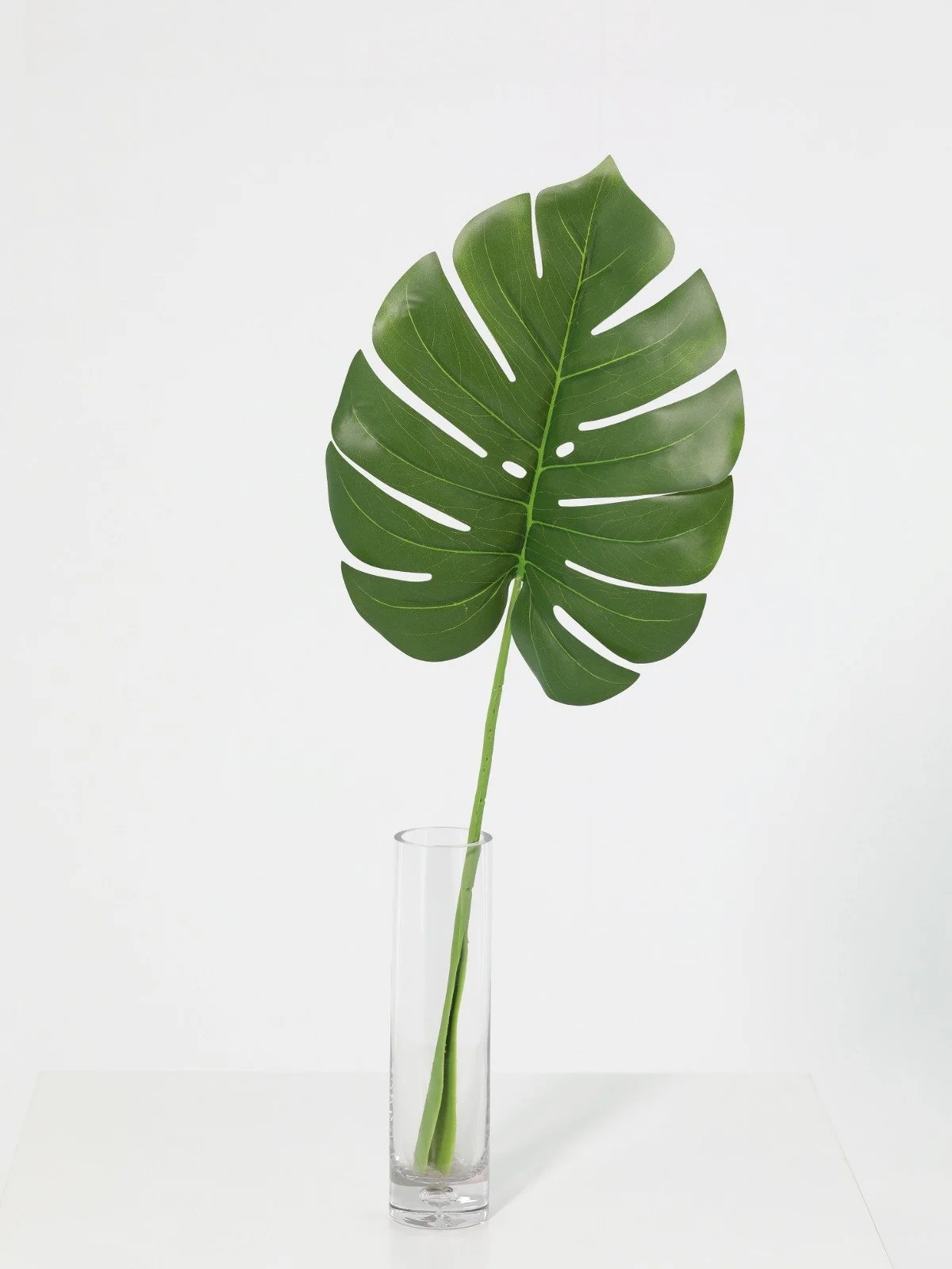 WhatsApp Image 2026-01-30 at 08.49.09.jpeg