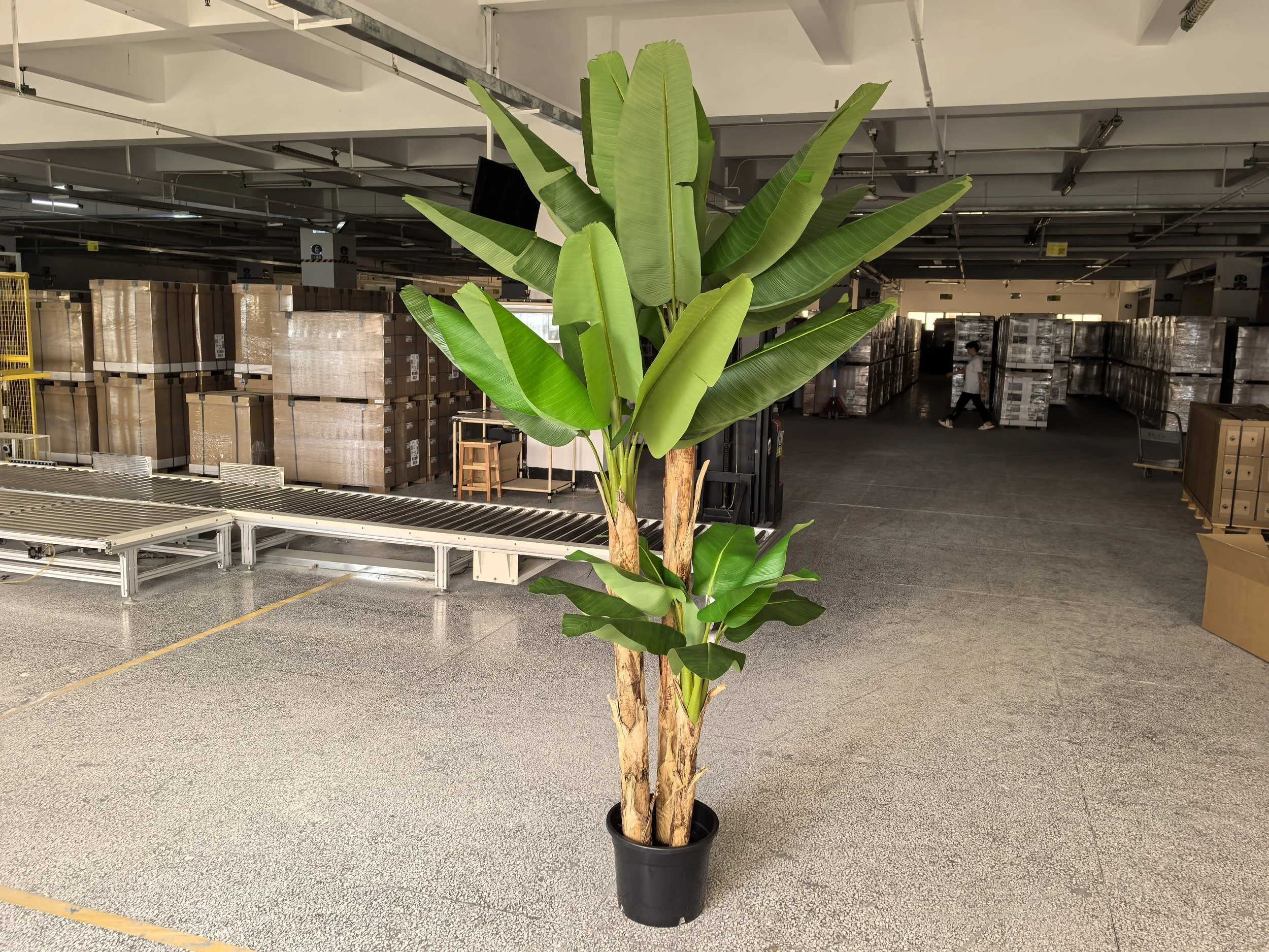 Banana Tree with Real Wood and Stalk