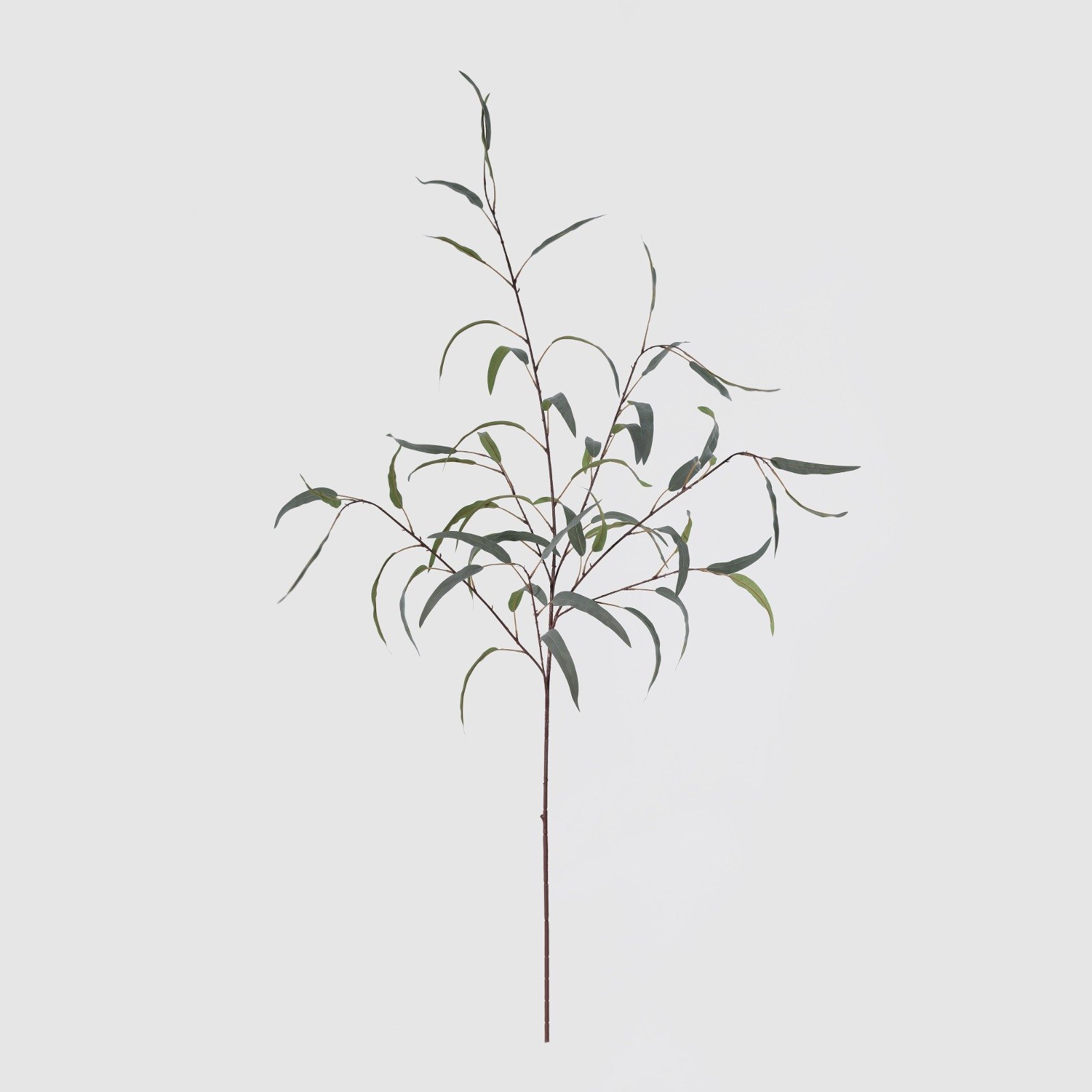 WhatsApp Image 2026-01-31 at 03.20.08 (3).jpeg