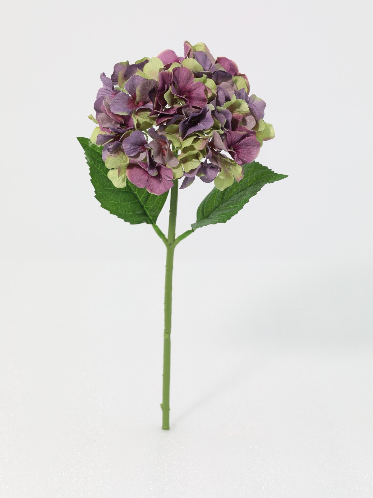 WhatsApp Image 2026-01-30 at 08.50.06 (2).jpeg