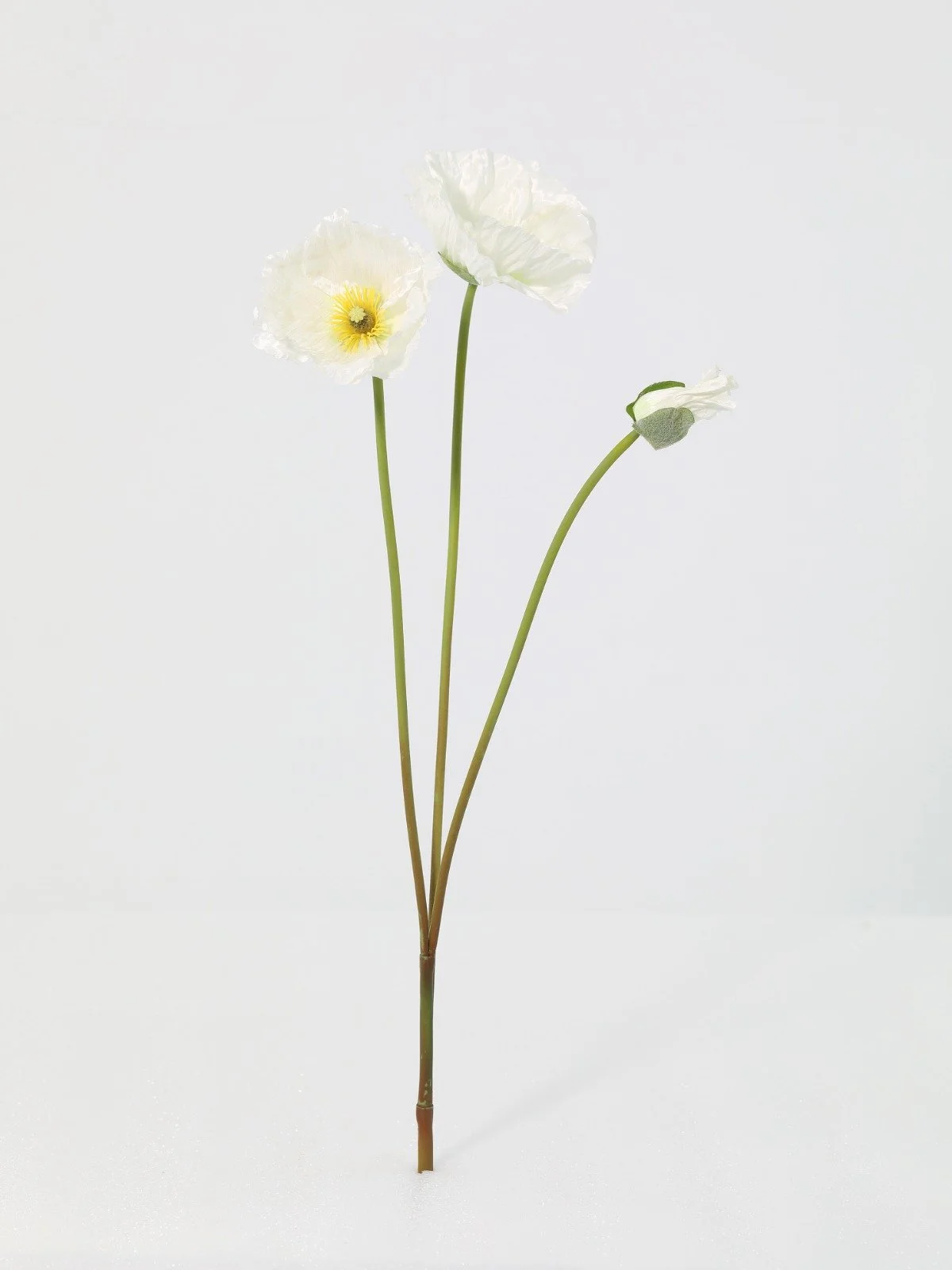 WhatsApp Image 2026-01-30 at 08.49.13.jpeg