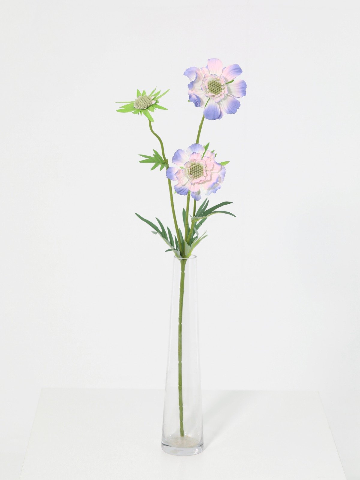 WhatsApp Image 2026-01-30 at 08.50.06 (10).jpeg