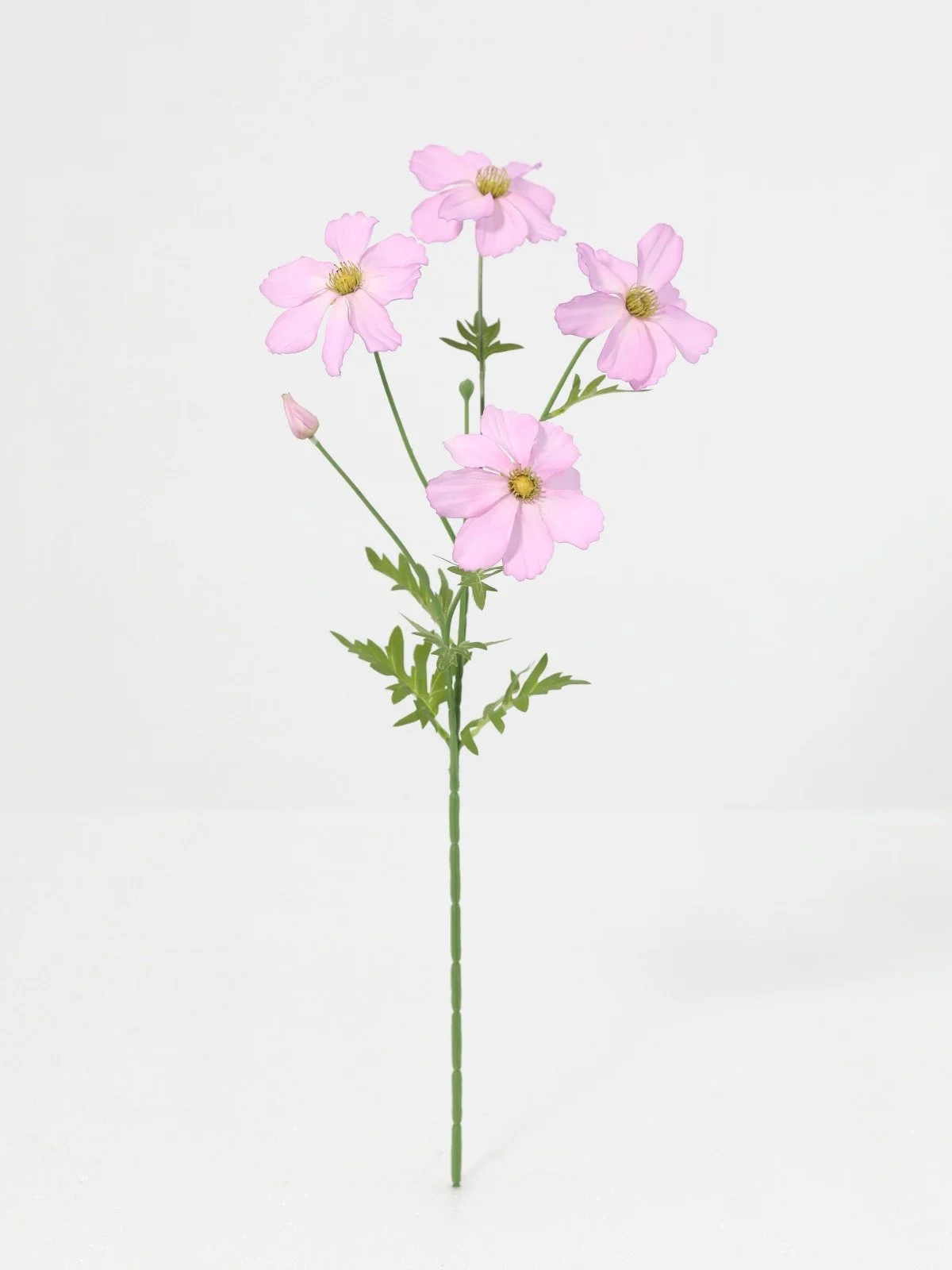 WhatsApp Image 2026-01-30 at 08.49.12 (12).jpeg