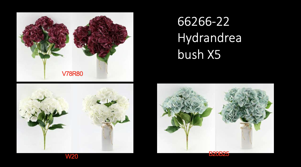 Screenshot 2026-01-31 at 8.44.50 AM.png