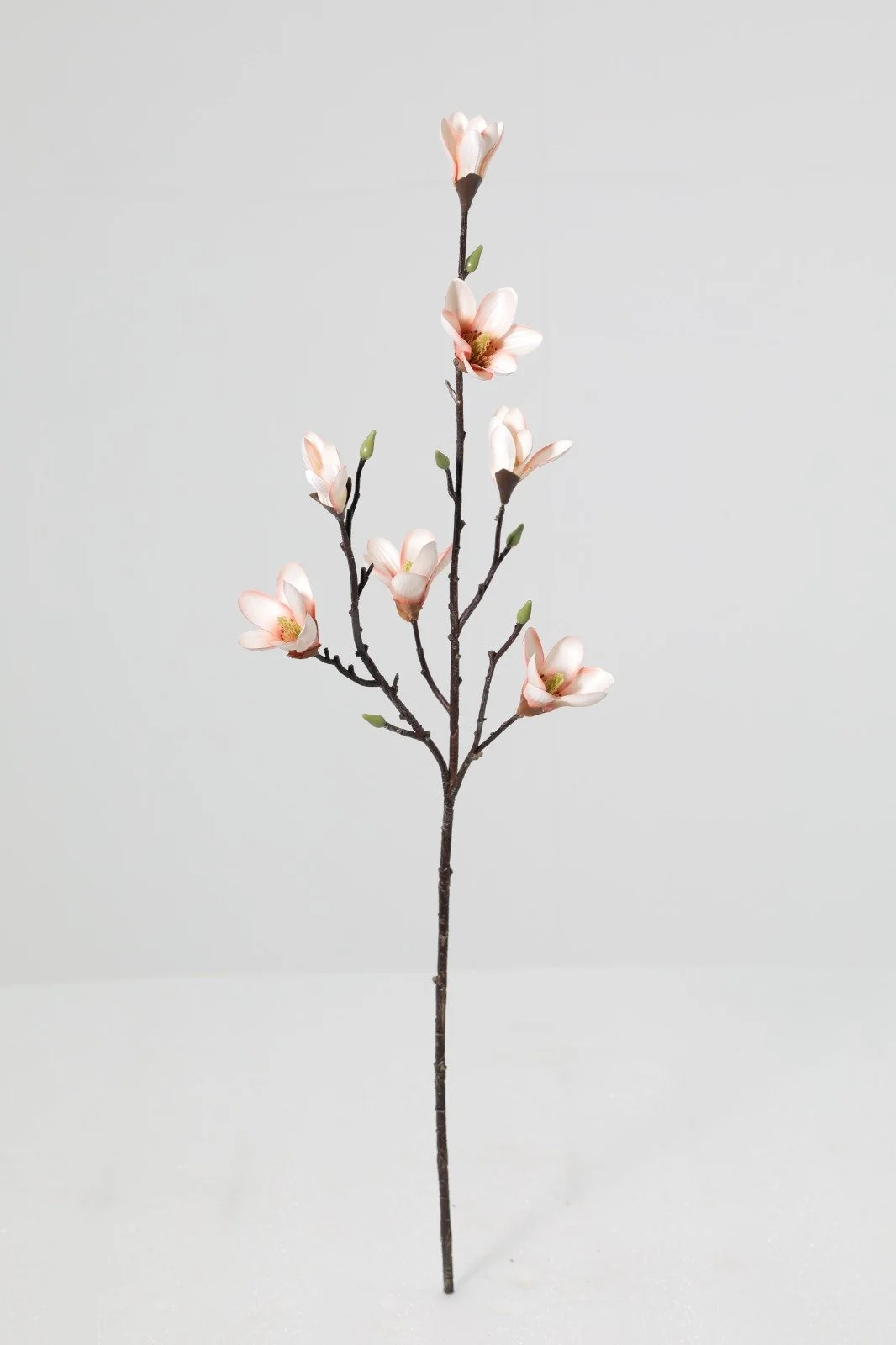 WhatsApp Image 2026-01-30 at 08.50.30 (3).jpeg