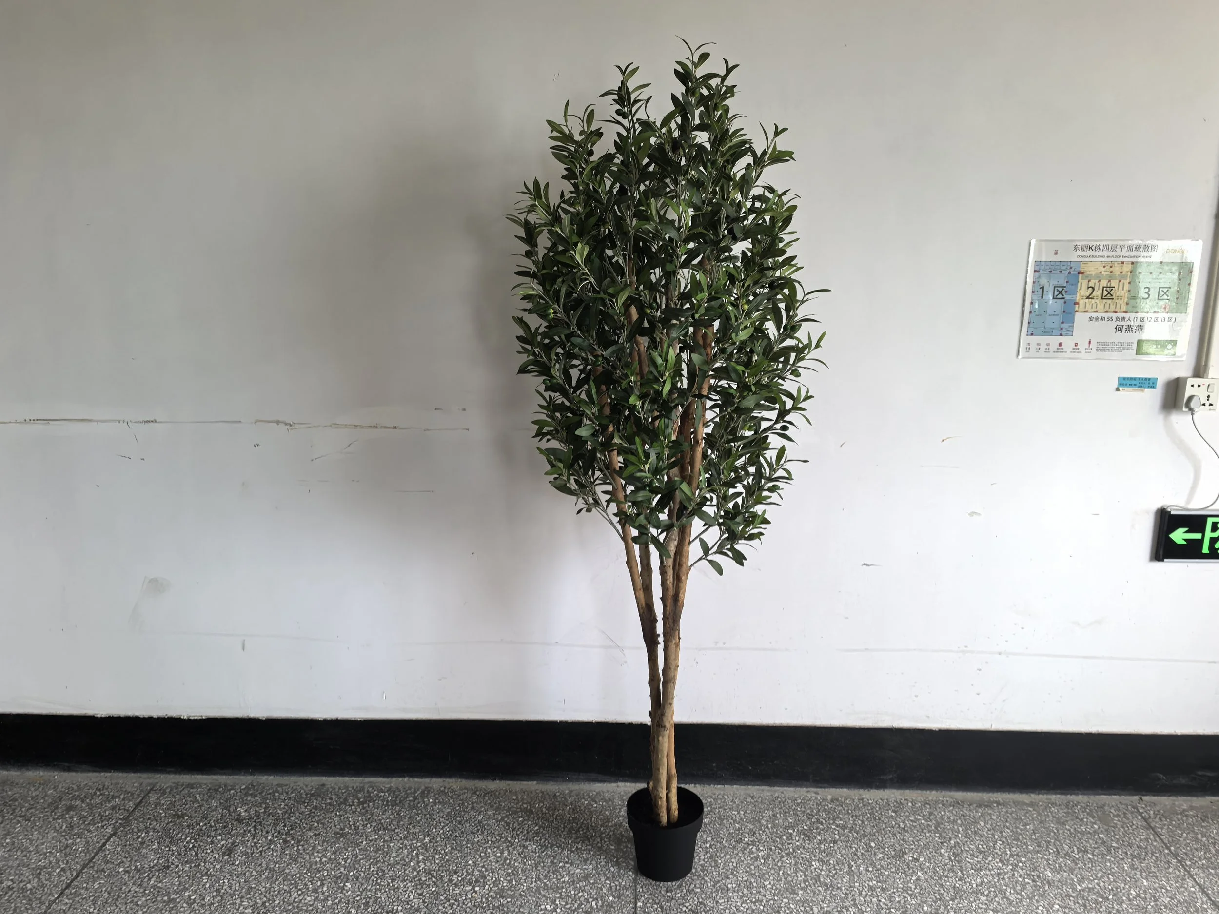 Olive Tree with Real Wood Trunk