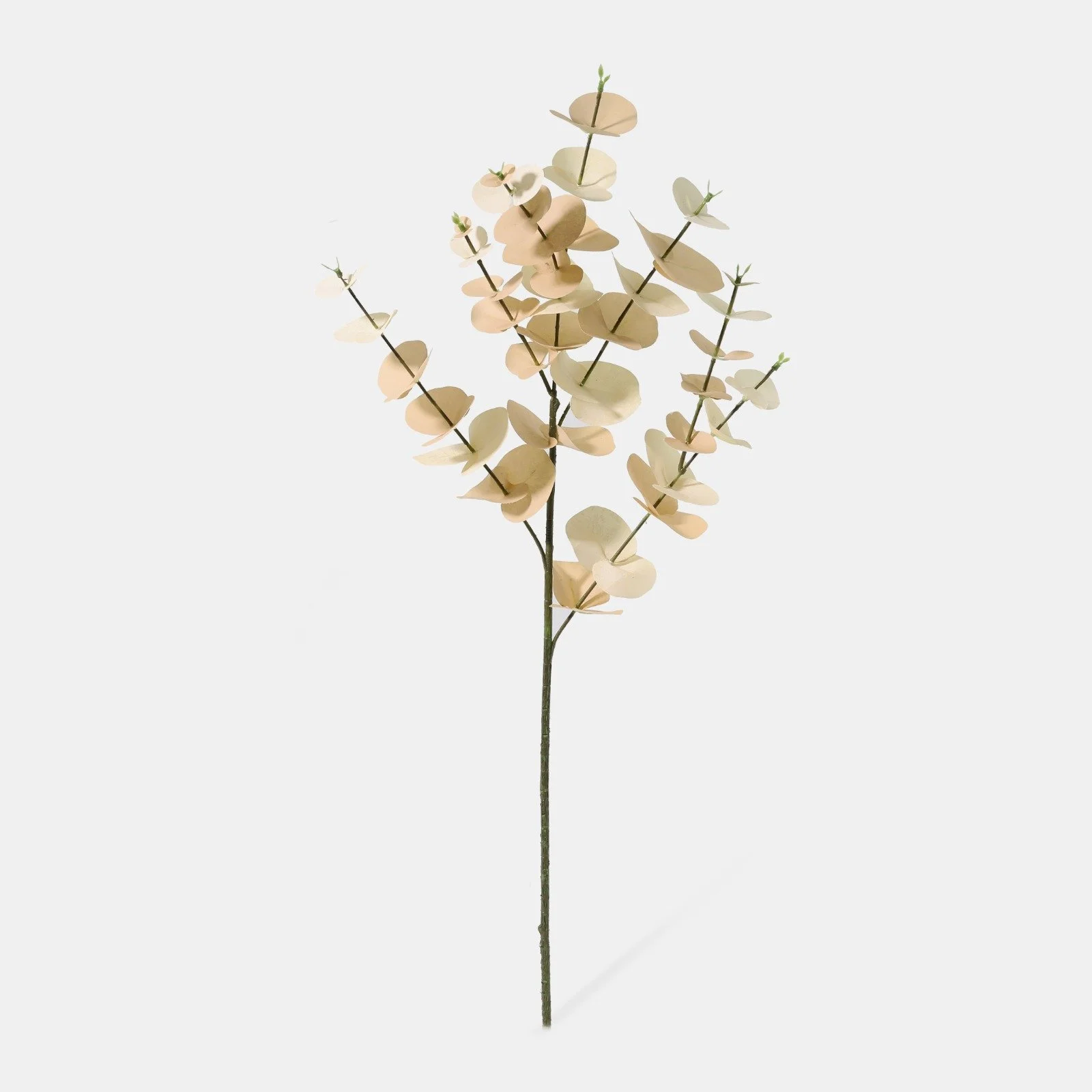 WhatsApp Image 2026-01-31 at 03.20.27.jpeg