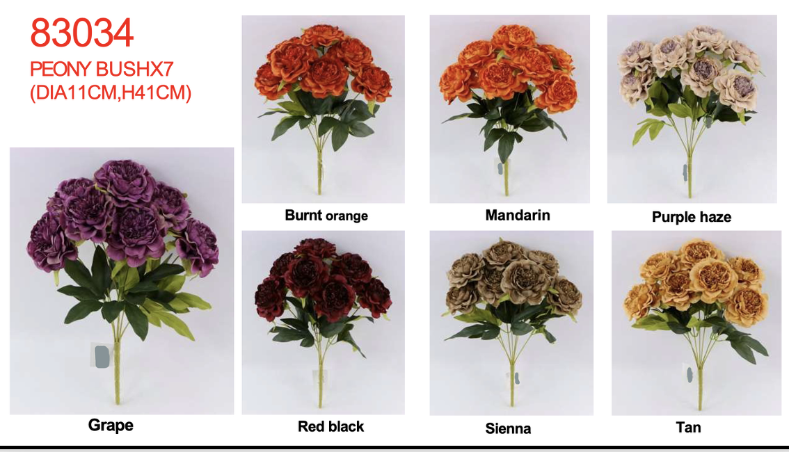 Screenshot 2026-01-31 at 8.47.53 AM.png