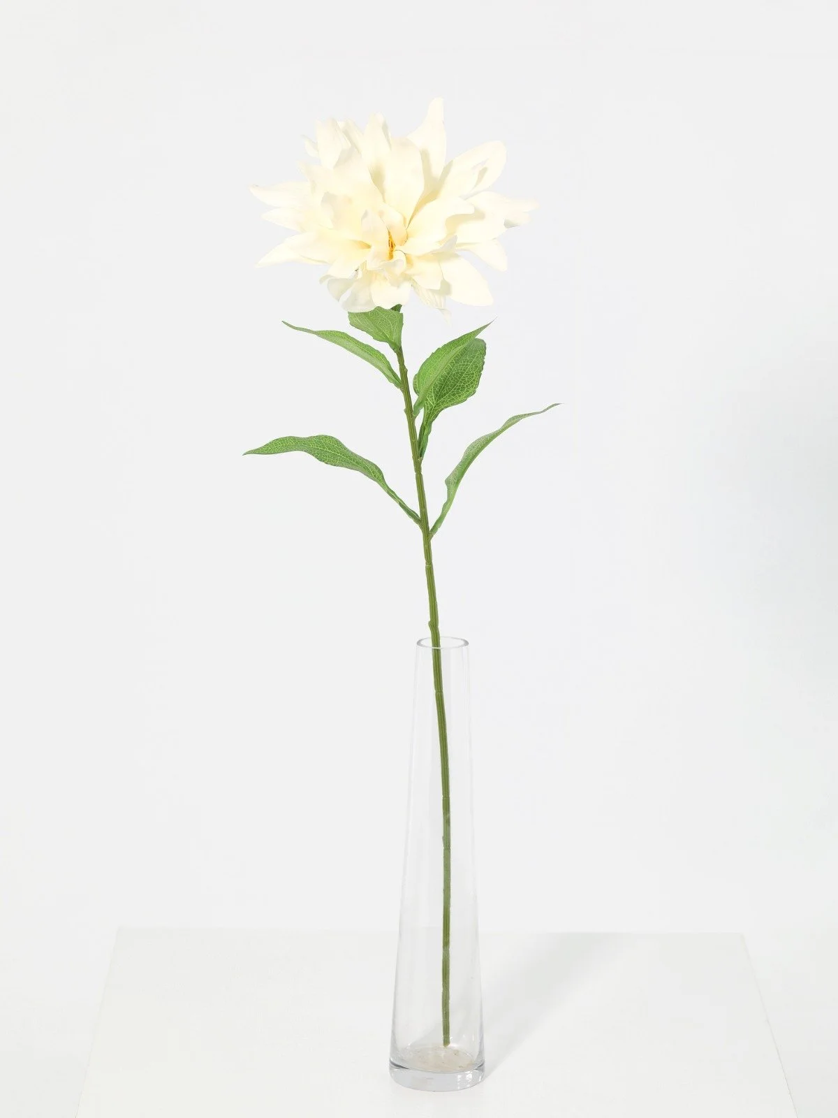 WhatsApp Image 2026-01-30 at 08.47.09 (5).jpeg