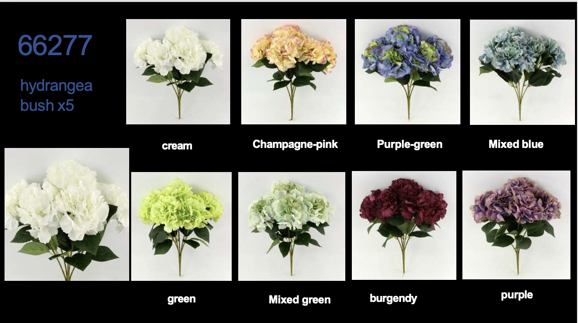 Screenshot 2026-01-31 at 8.43.31 AM.png