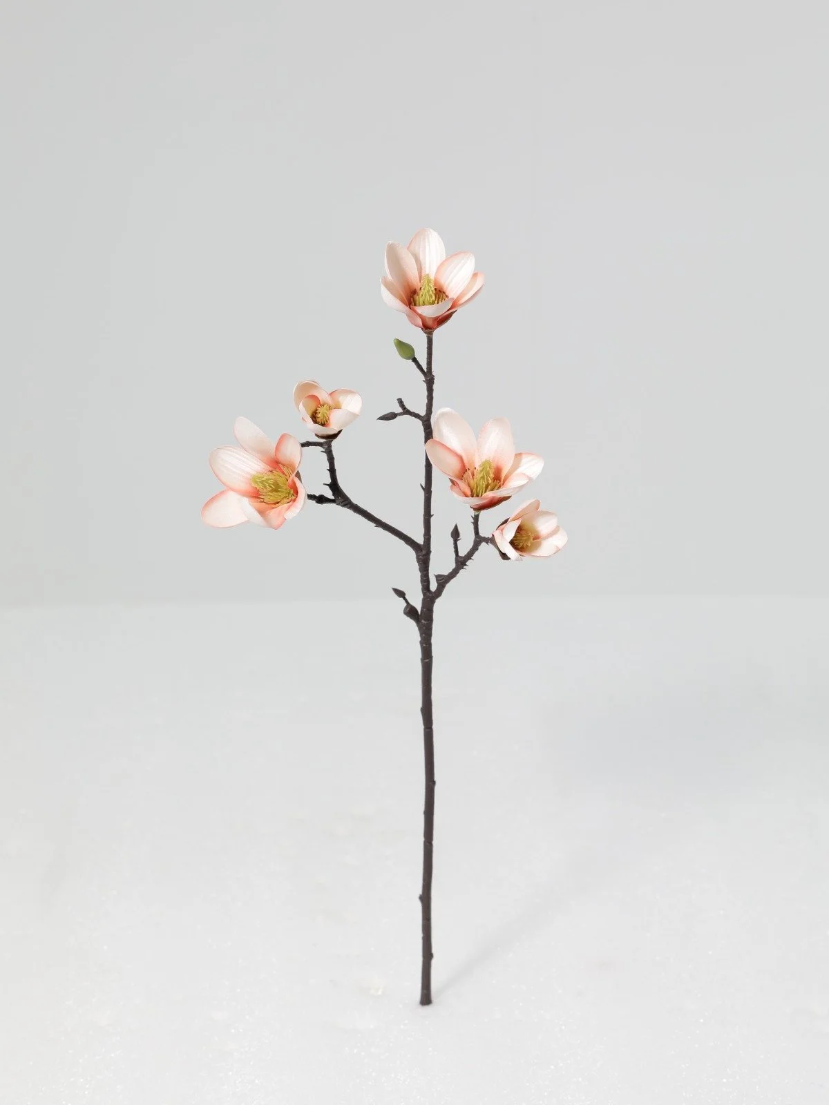 WhatsApp Image 2026-01-30 at 08.50.28.jpeg