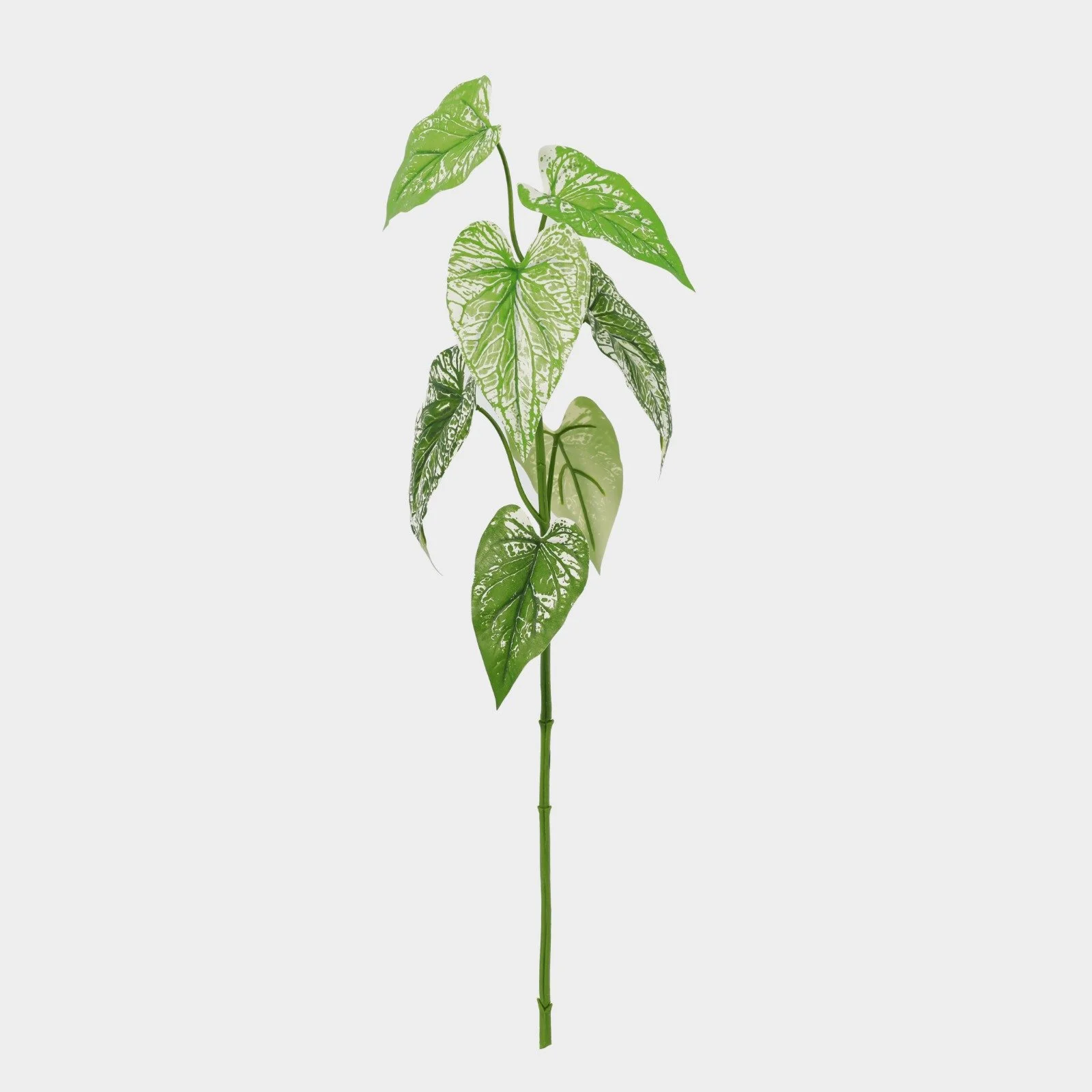 WhatsApp Image 2026-01-31 at 03.20.28 (1).jpeg