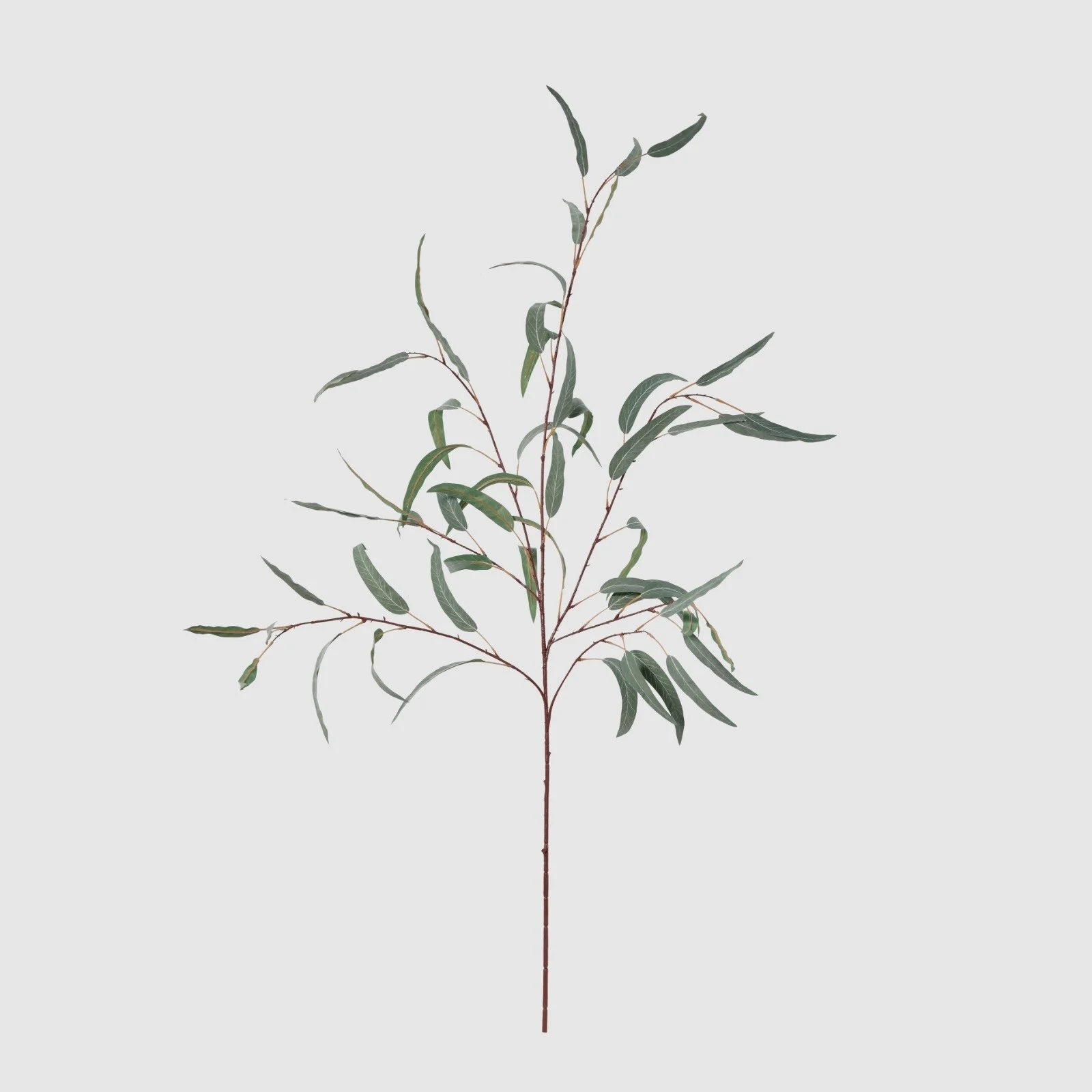 WhatsApp Image 2026-01-31 at 03.20.08 (10).jpeg