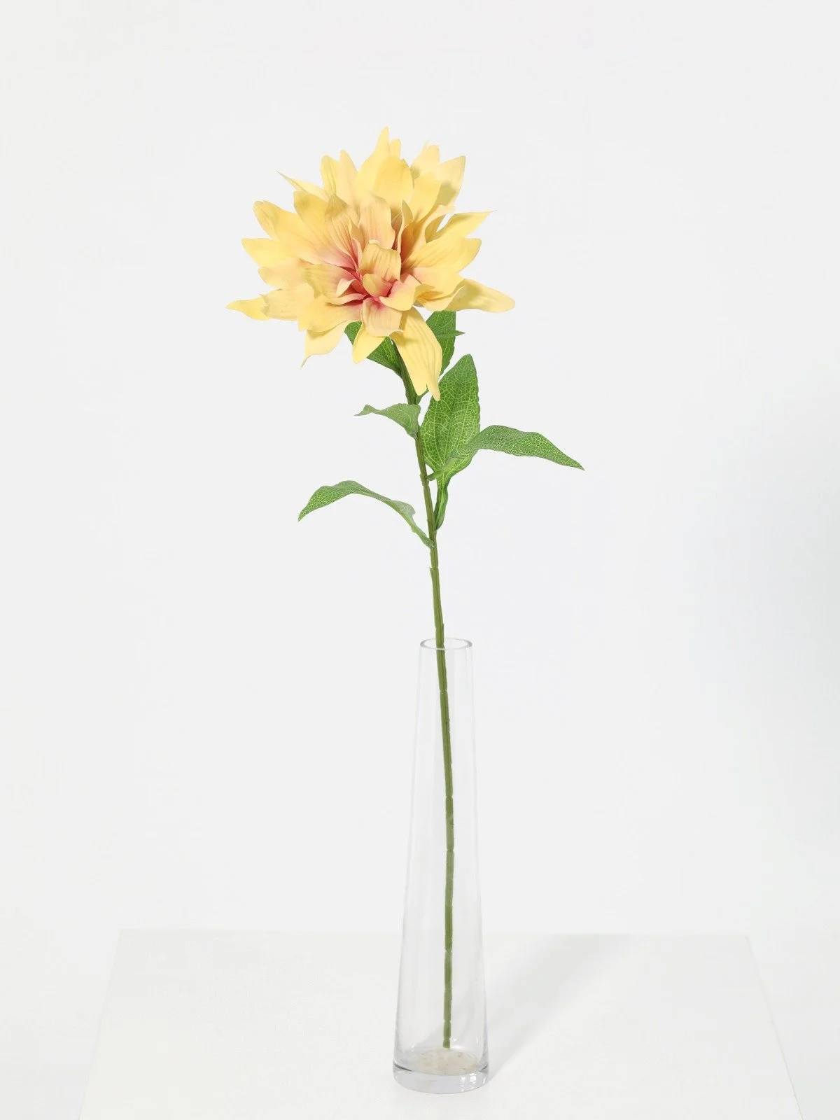 WhatsApp Image 2026-01-30 at 08.47.09 (1).jpeg