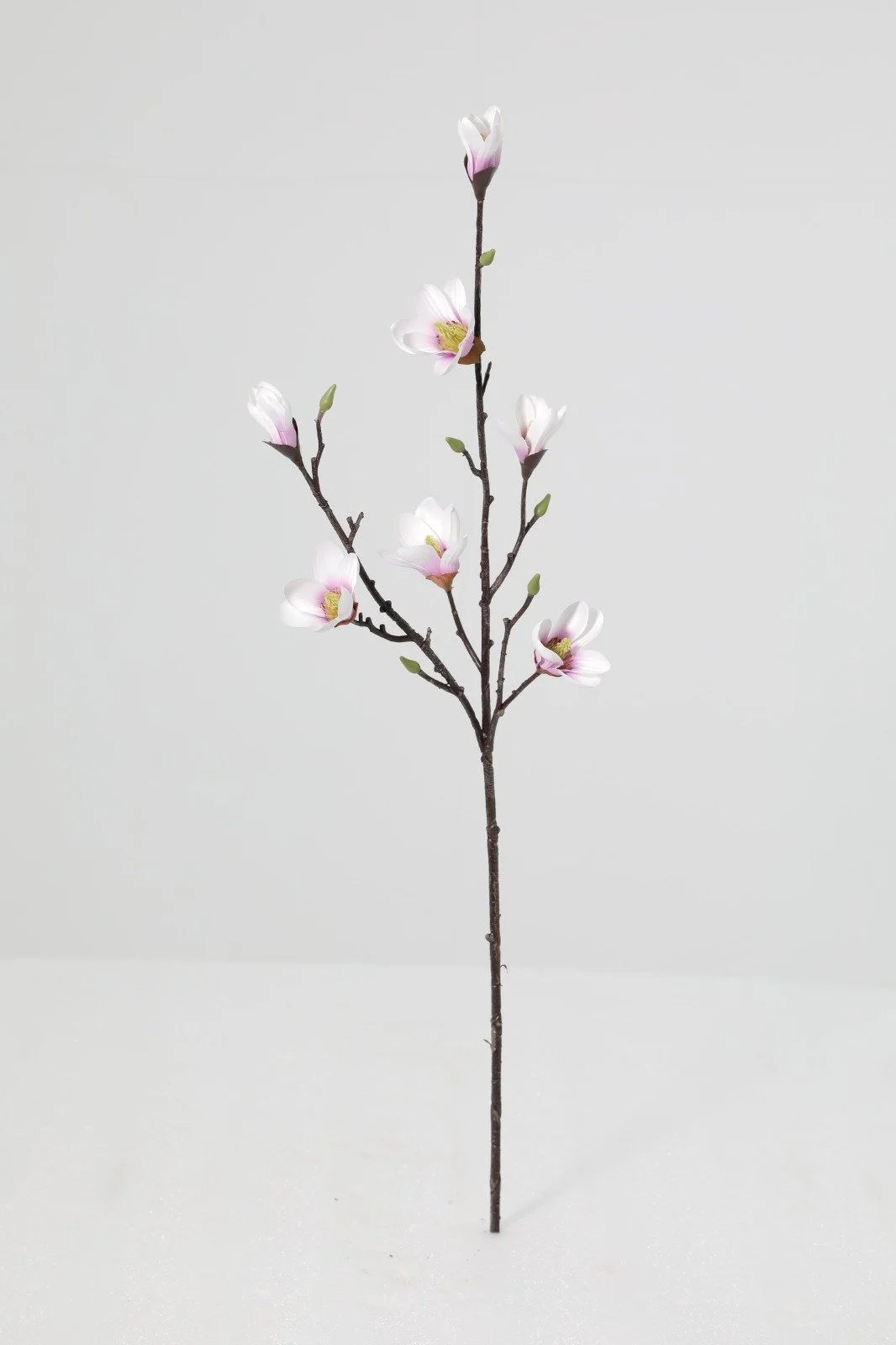 WhatsApp Image 2026-01-30 at 08.50.25.jpeg