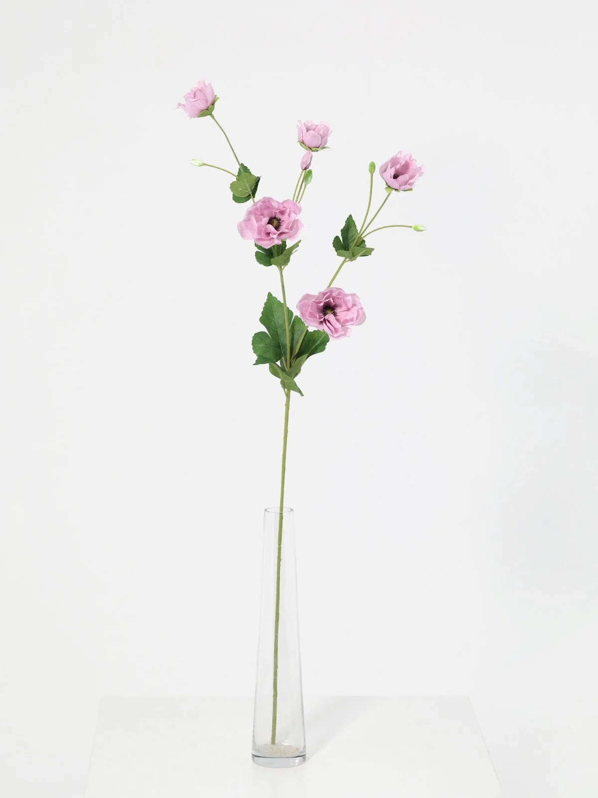 WhatsApp Image 2026-01-30 at 08.47.09 (6).jpeg