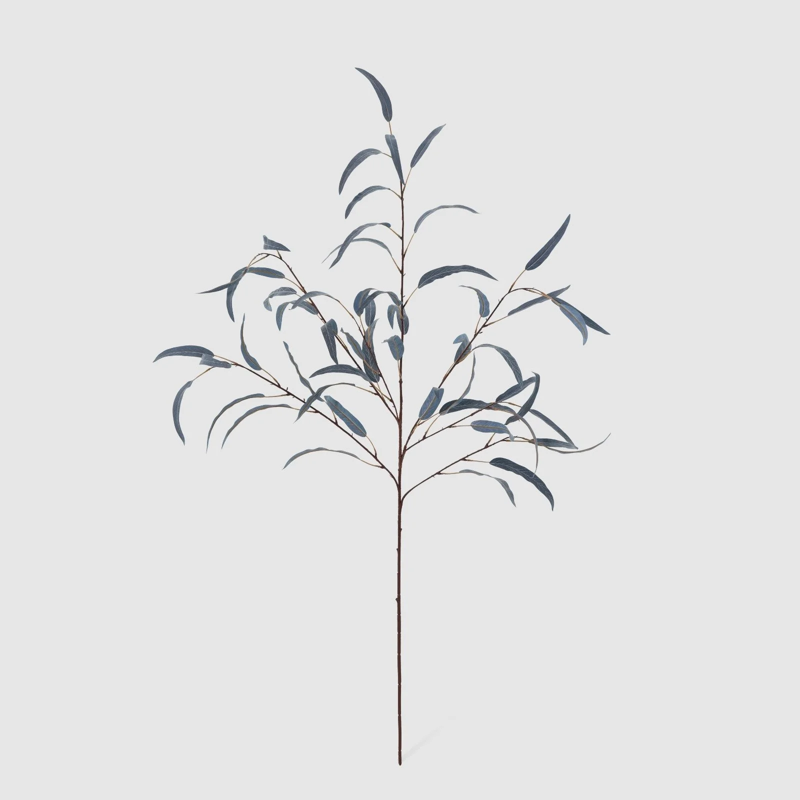 WhatsApp Image 2026-01-31 at 03.20.08 (4).jpeg