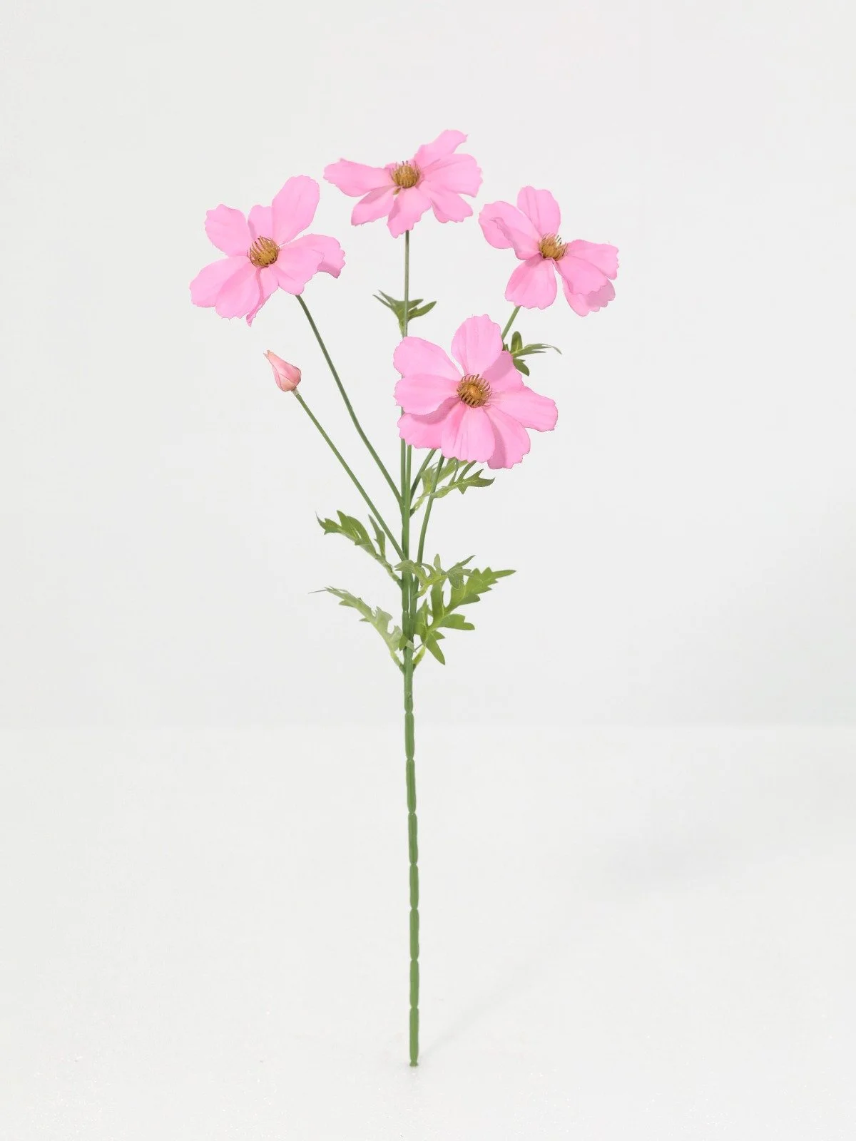 WhatsApp Image 2026-01-30 at 08.50.06 (11).jpeg