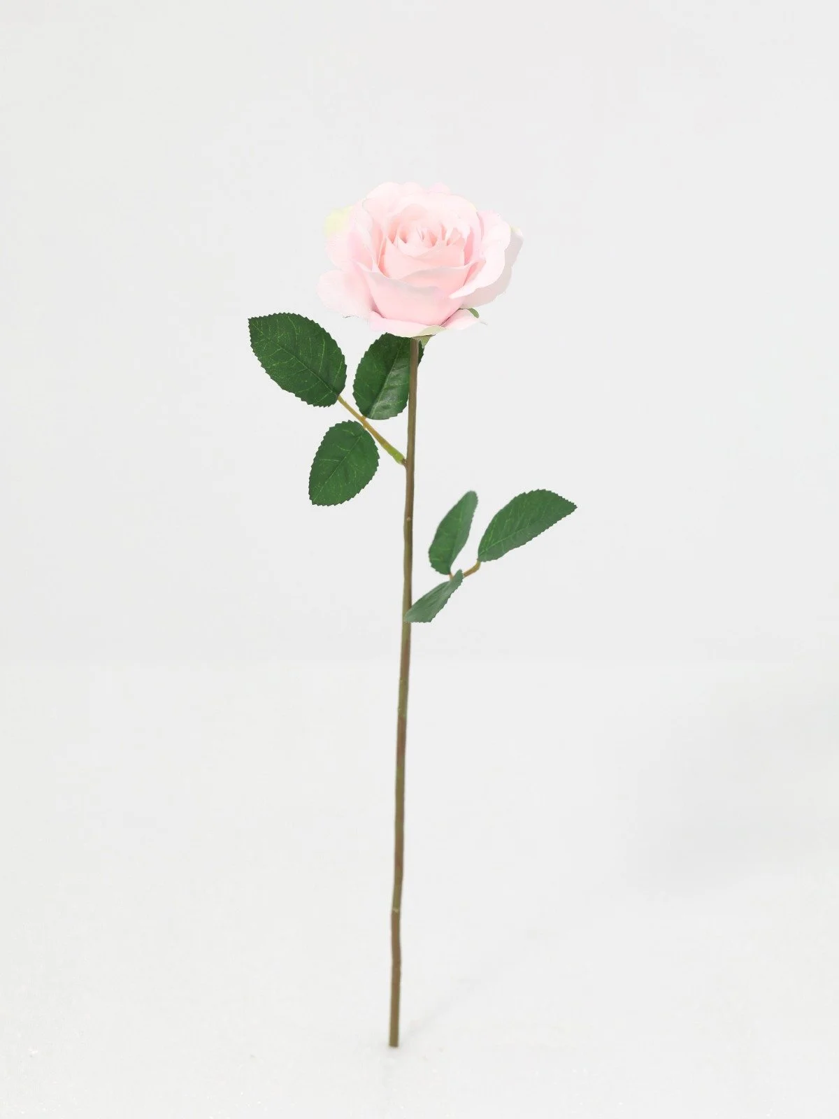 WhatsApp Image 2026-01-30 at 08.49.03 (1).jpeg