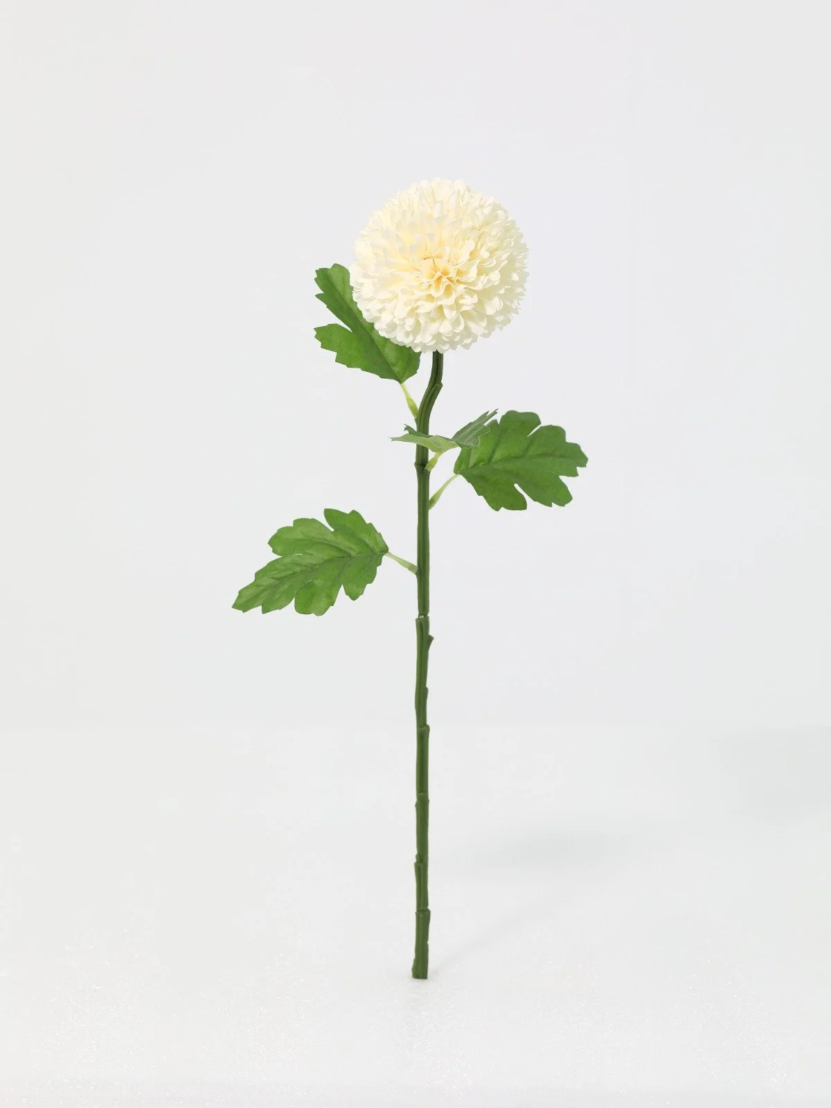 WhatsApp Image 2026-01-30 at 08.50.06 (7).jpeg