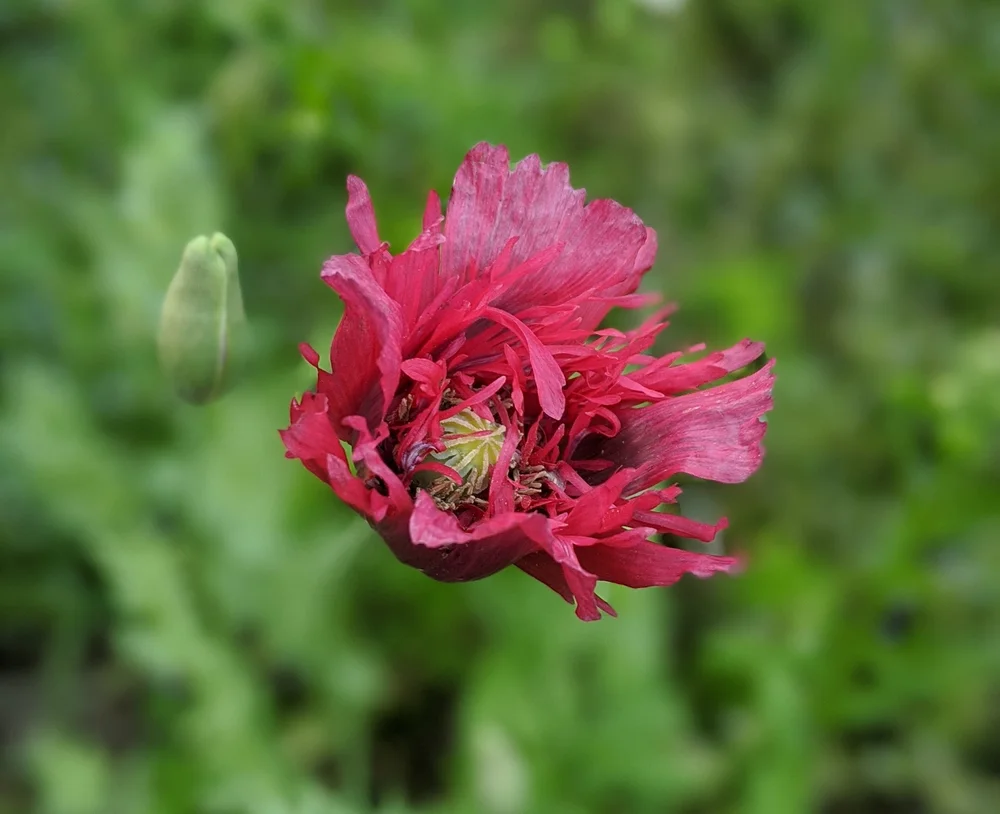 Scholarships In Maine0