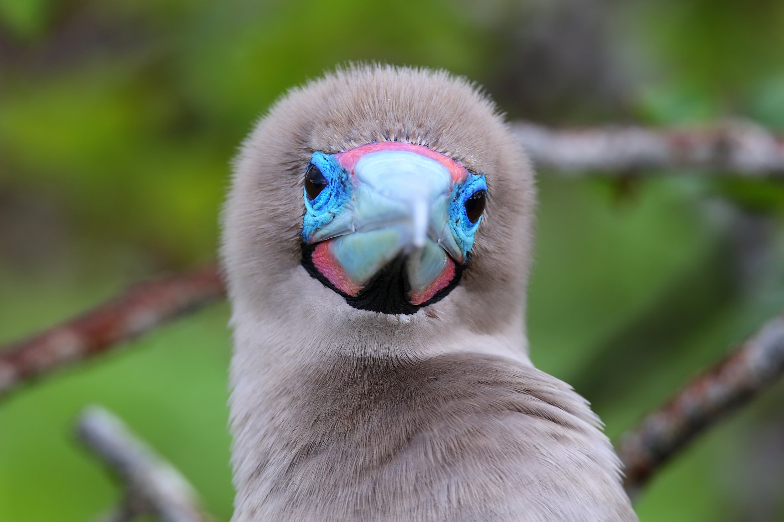 AdobeStock_119858754.jpeg