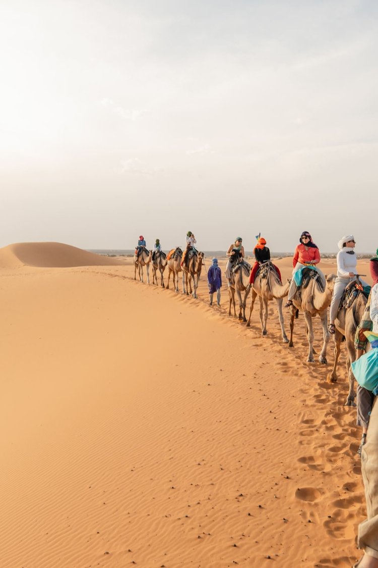 The Sahara