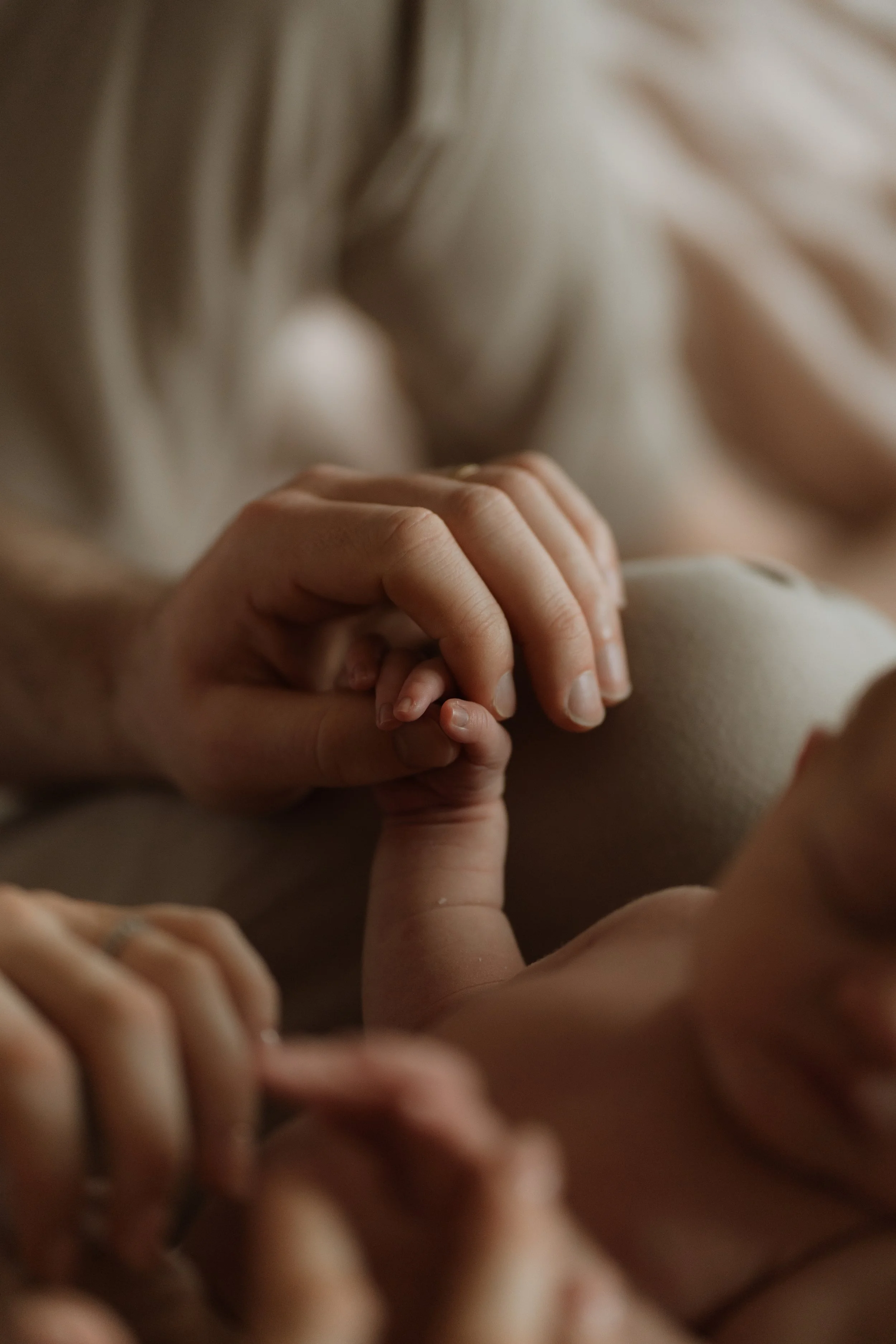 aimeelaoisephotography-rosie-57.jpg