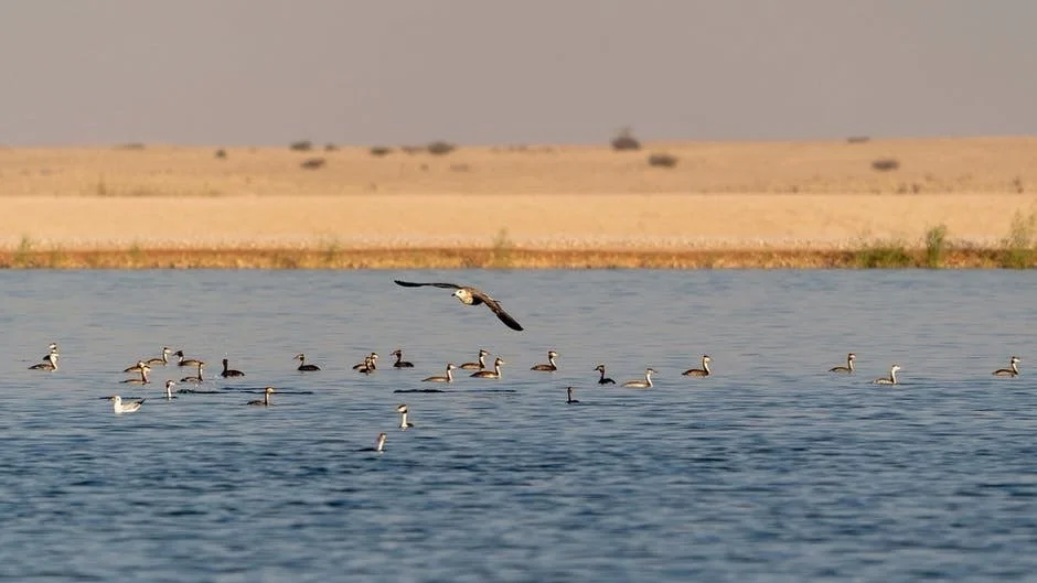 Importance of a Strong Recovery Team/Individualized Care