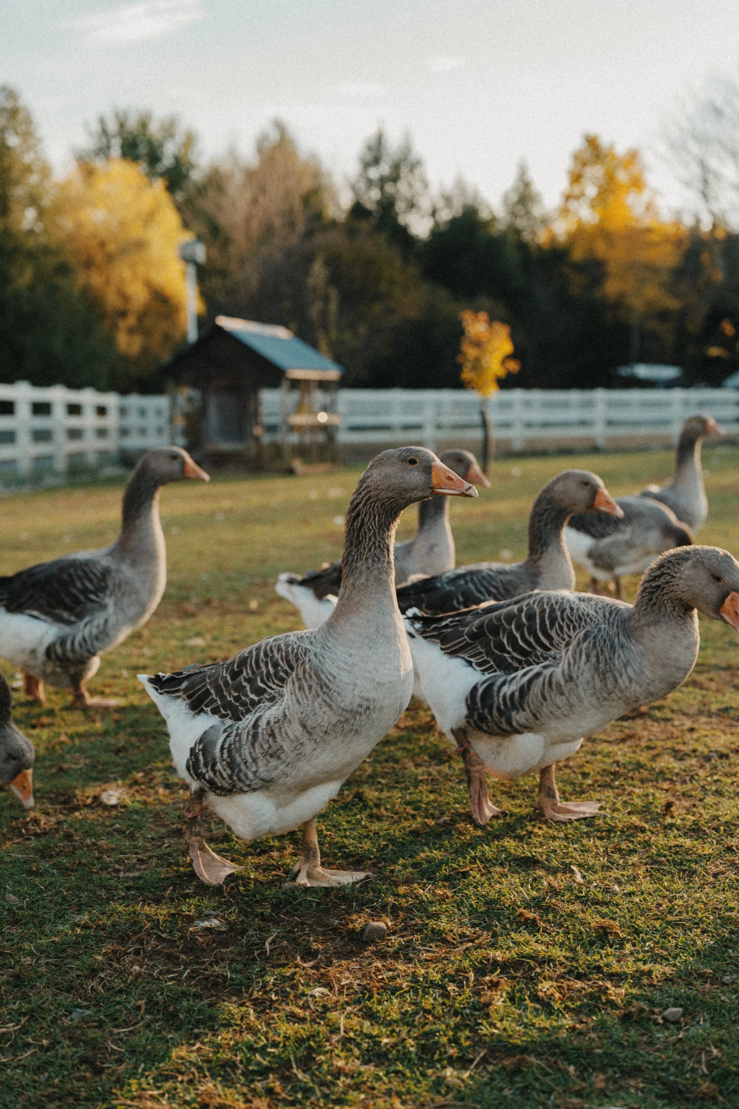 251024_GDO (411).jpg