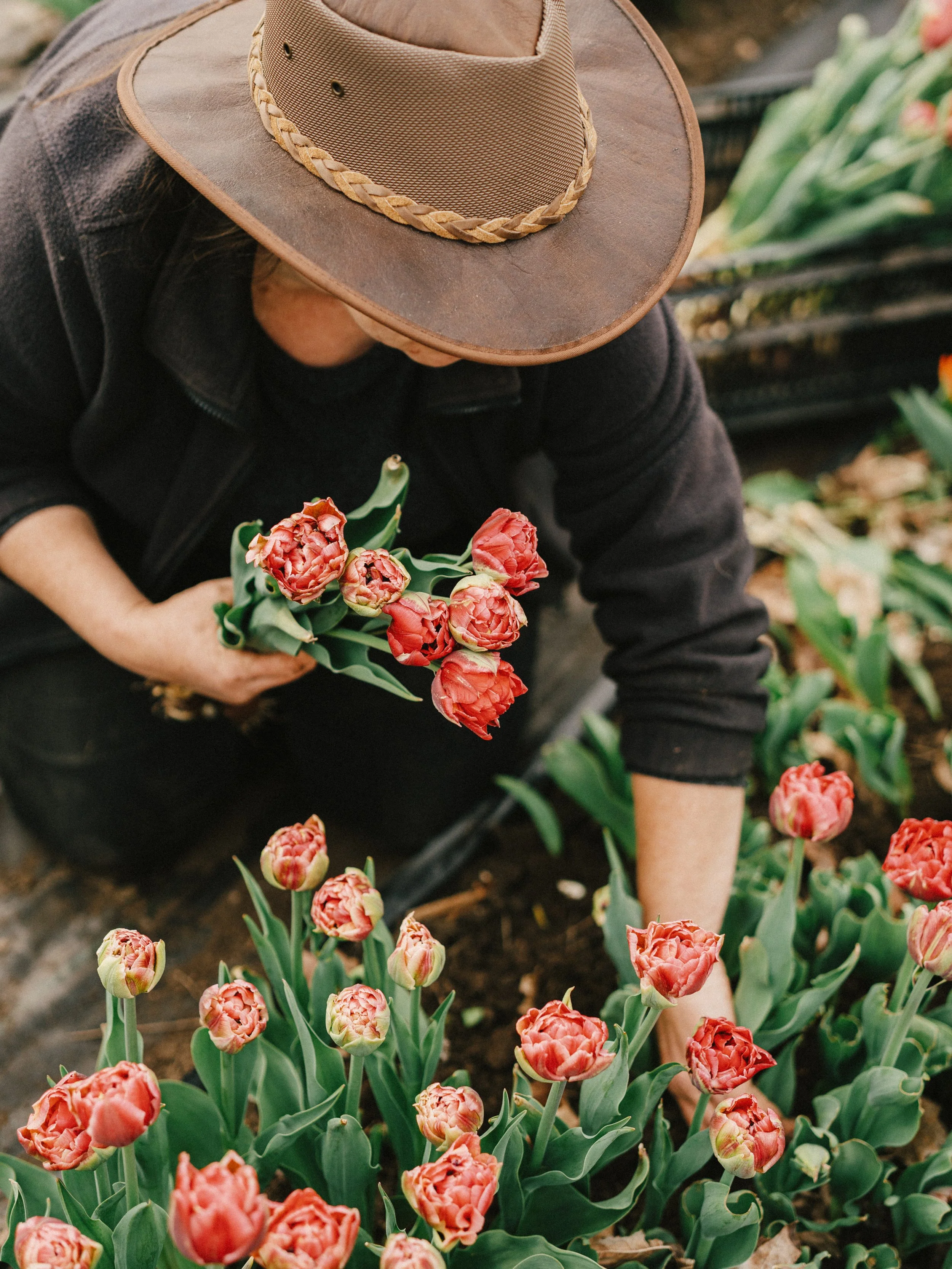 250505_APFCQ (248).jpg