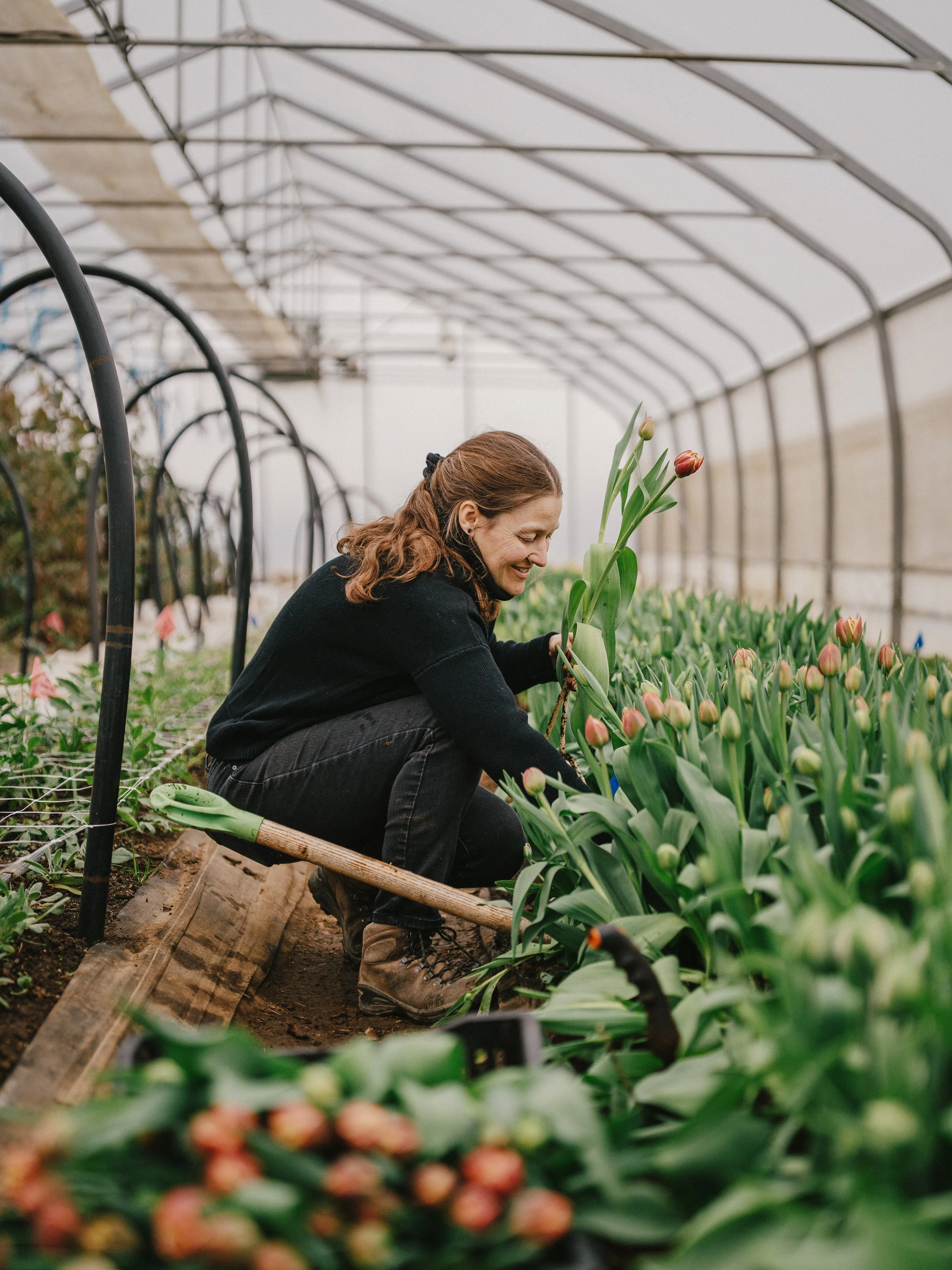 250418_Jardins ETC (366).jpg