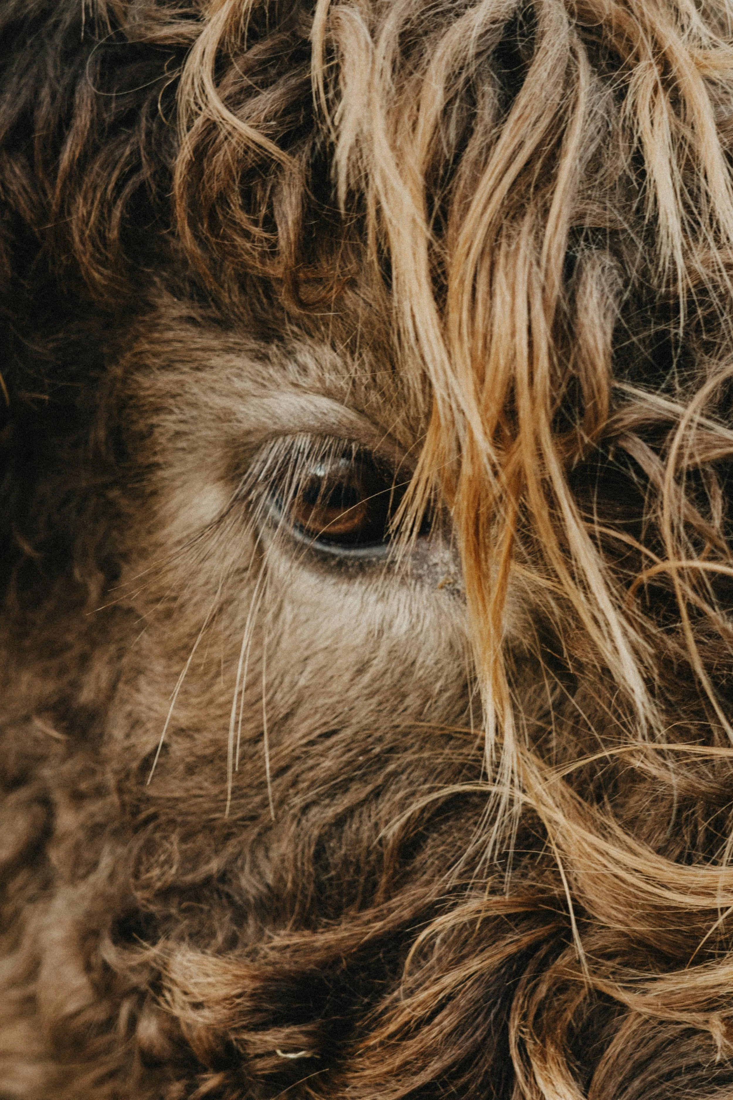 251024_GDO (1184).jpg