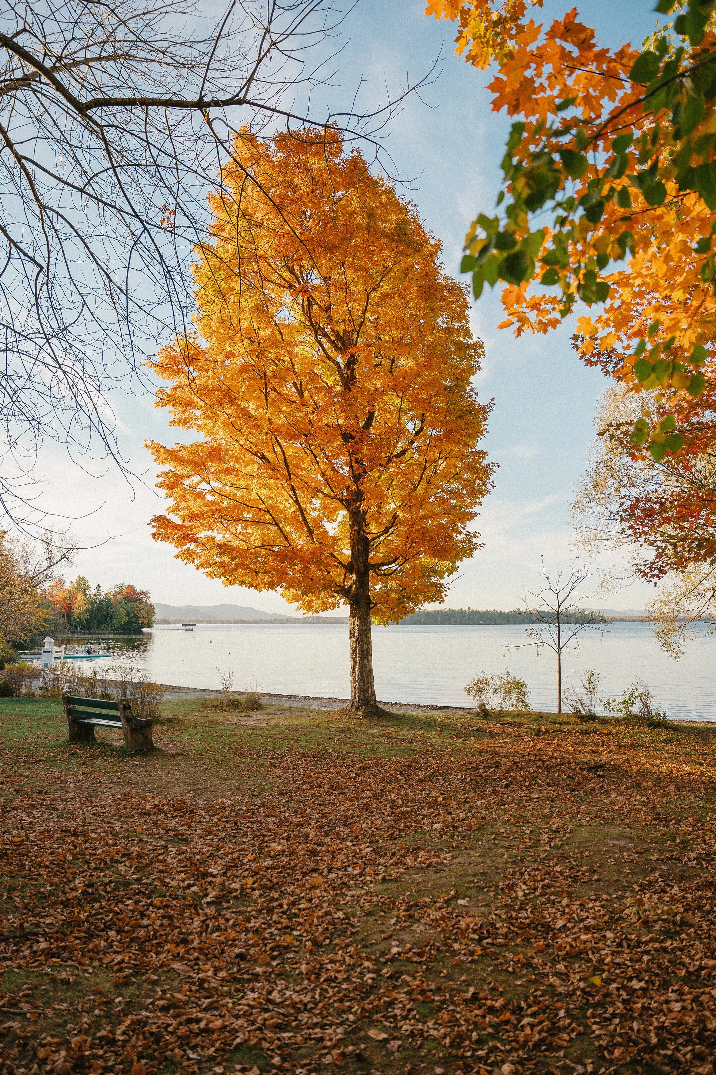 251009_Lac Brome (174)-Modifier.jpg