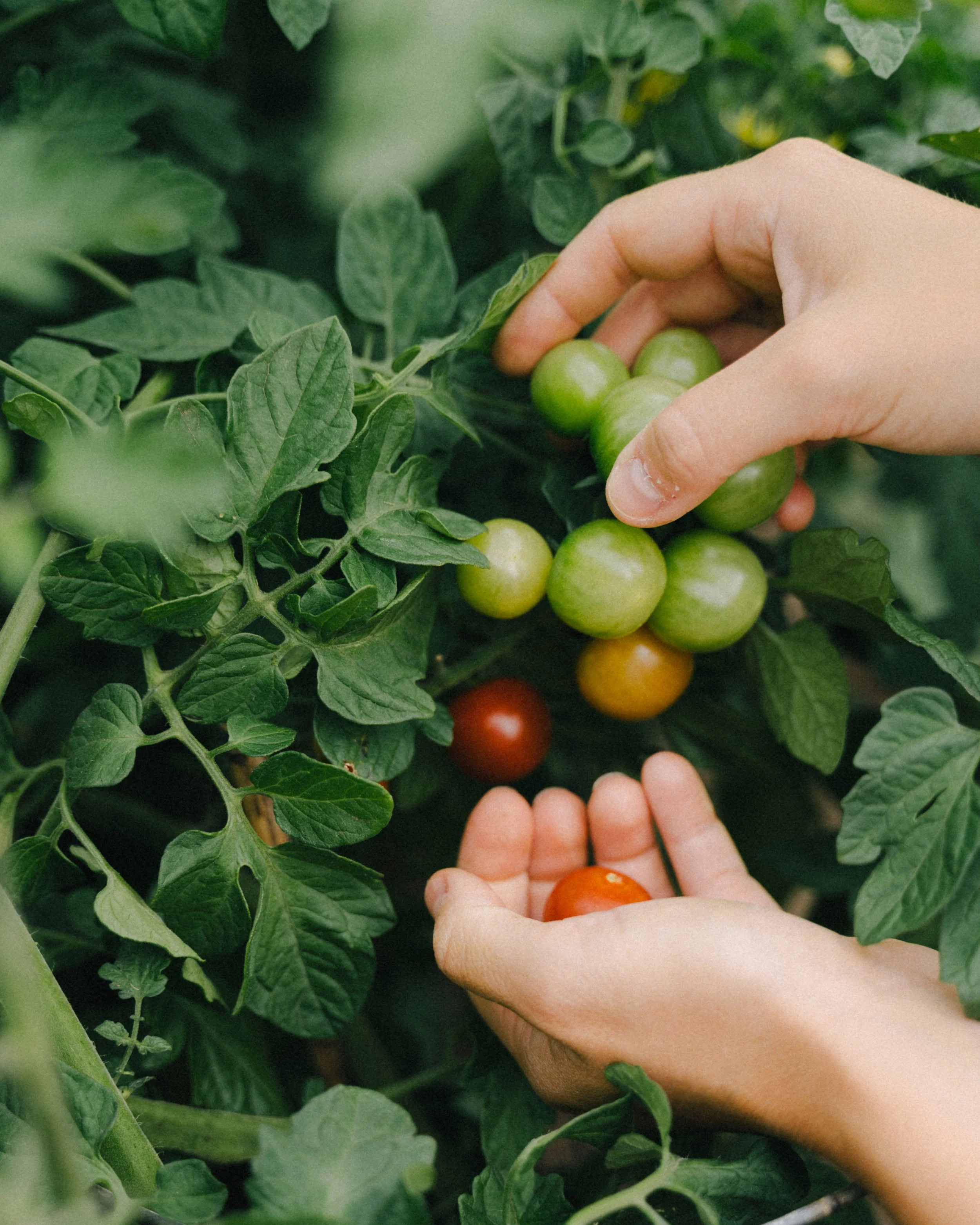 220810_VLM_Edit 4x5 (63).jpg