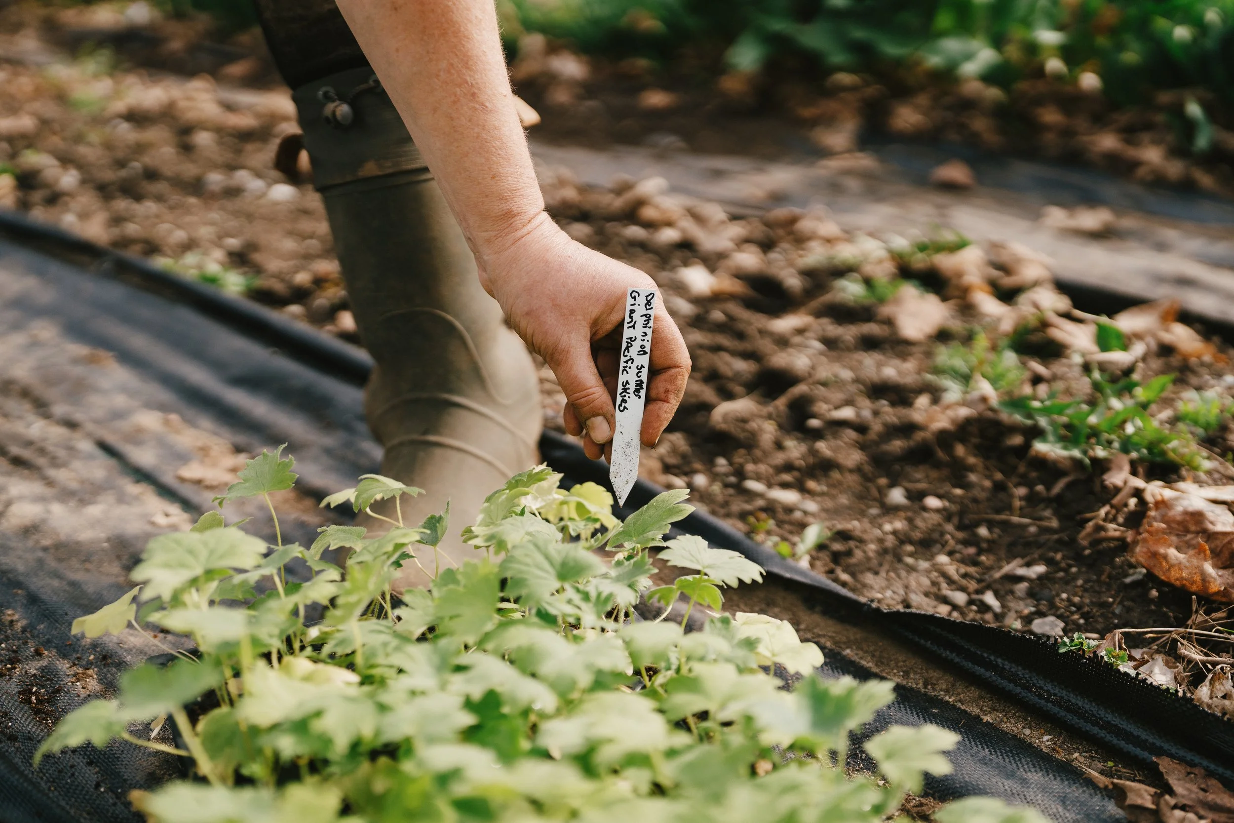 250505_APFCQ (1382).jpg