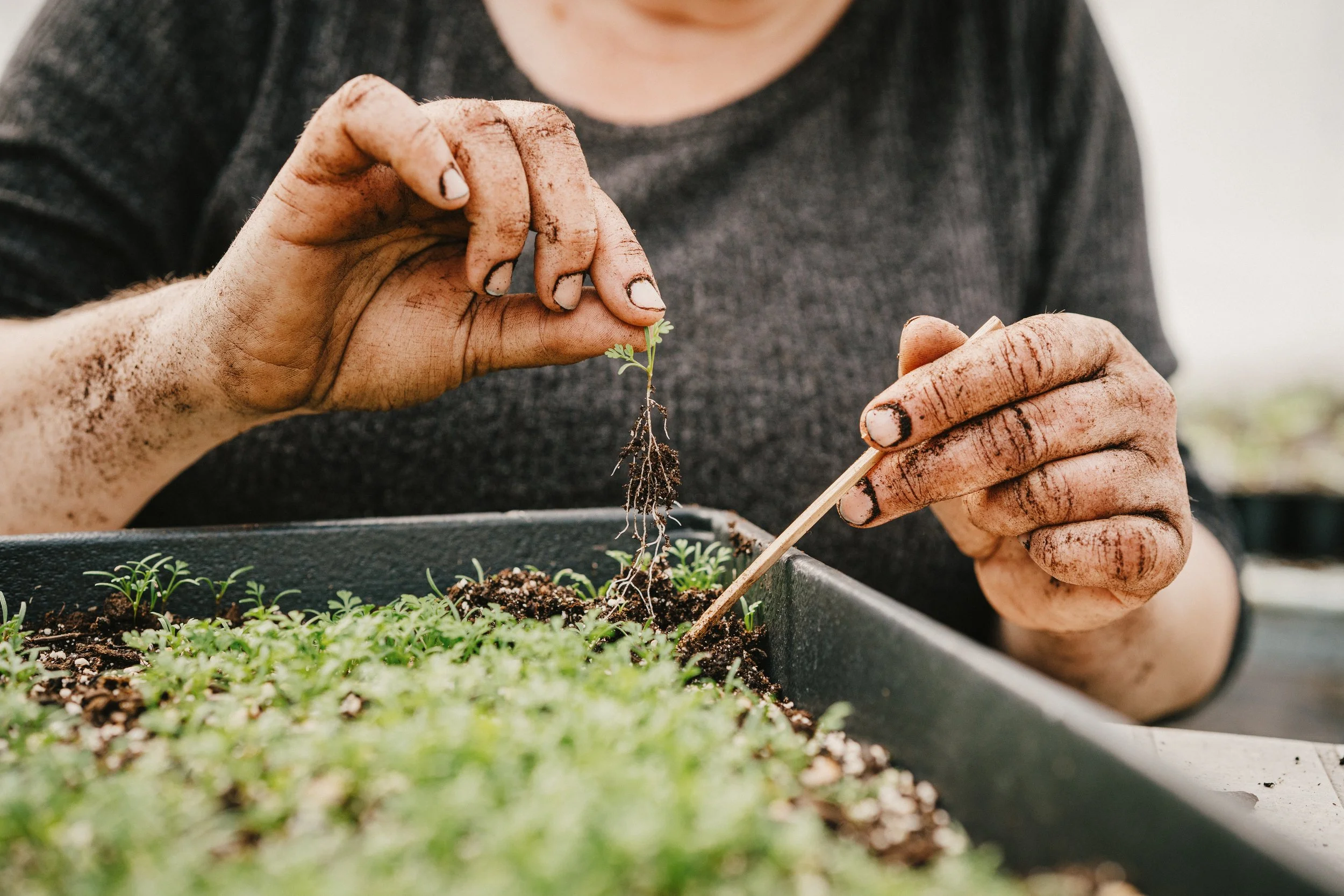 250505_APFCQ (818).jpg