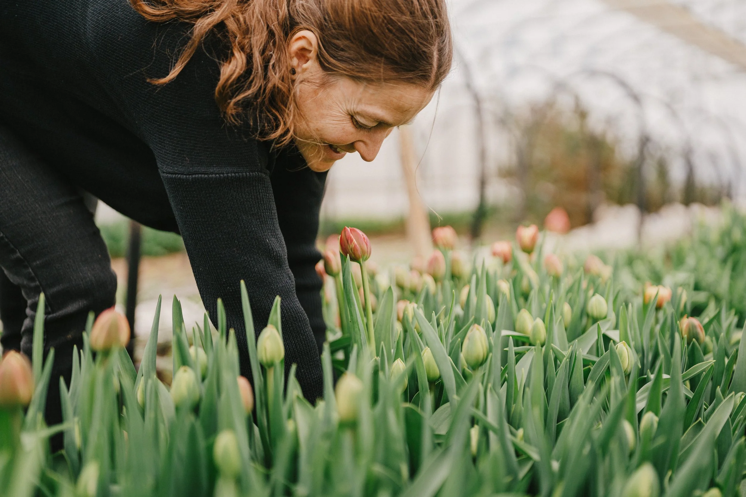 250418_Jardins ETC (321).jpg