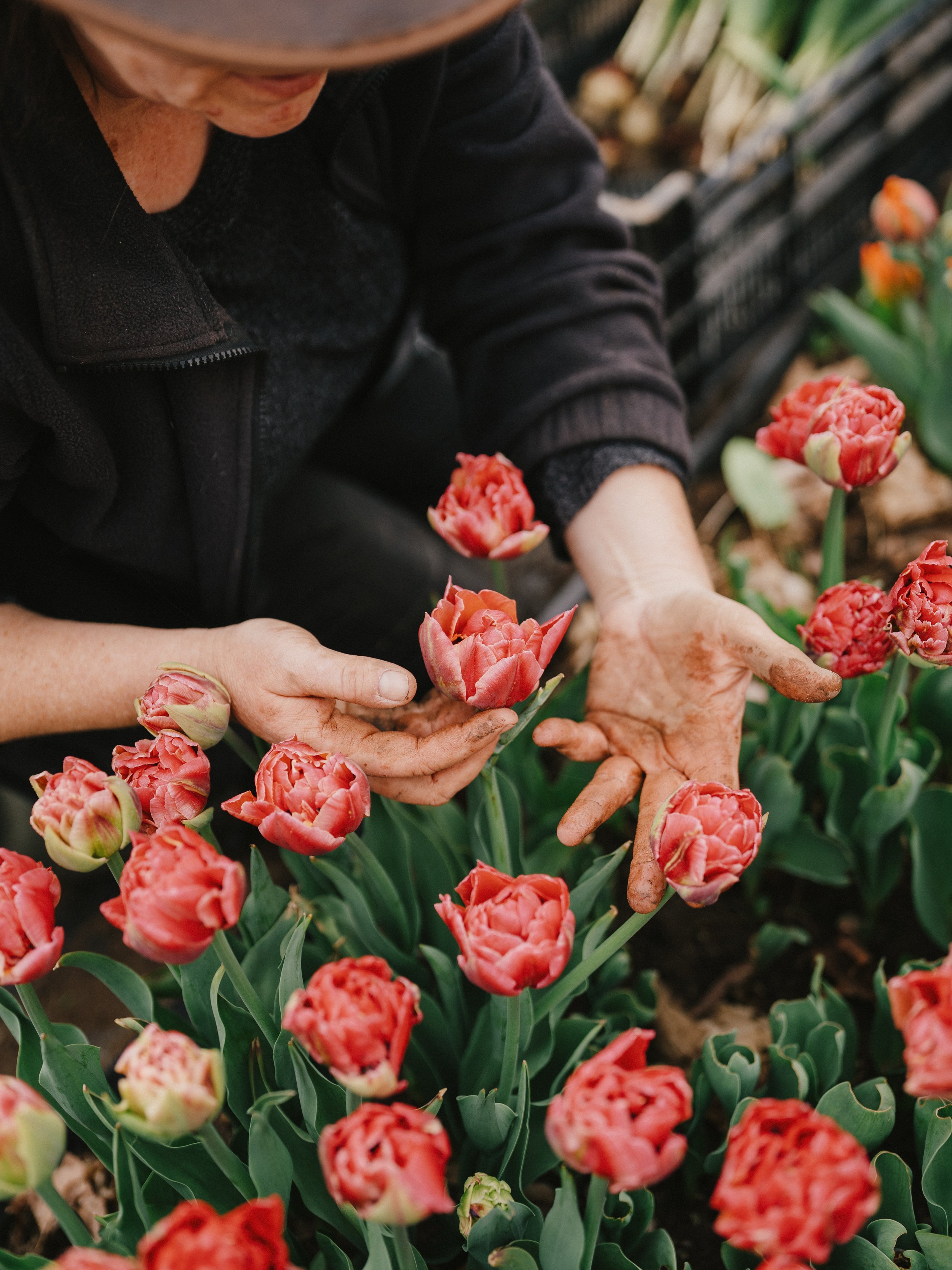 250505_APFCQ (1087).jpg