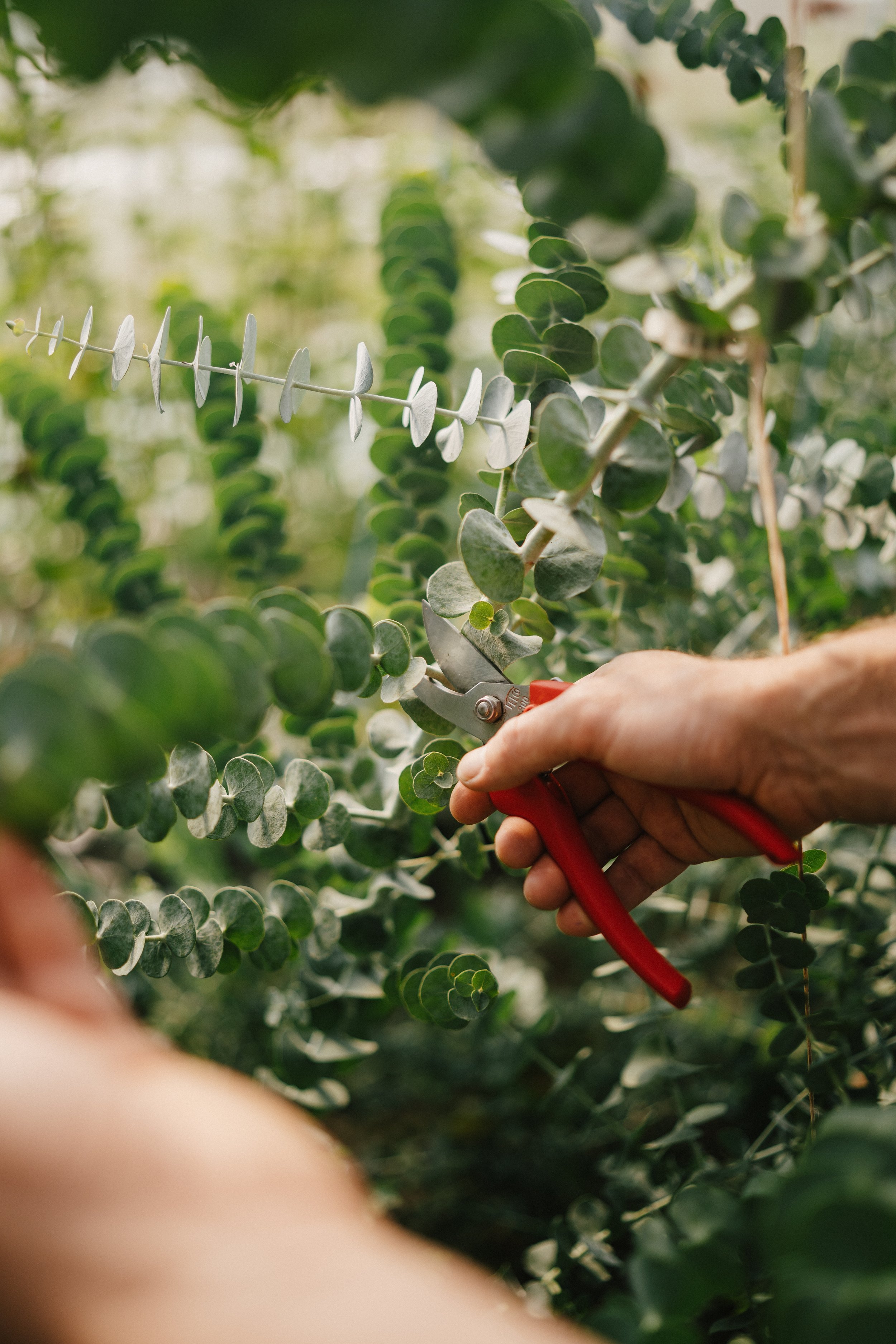 240913_APFCQ_0058 - Copie (2).jpg