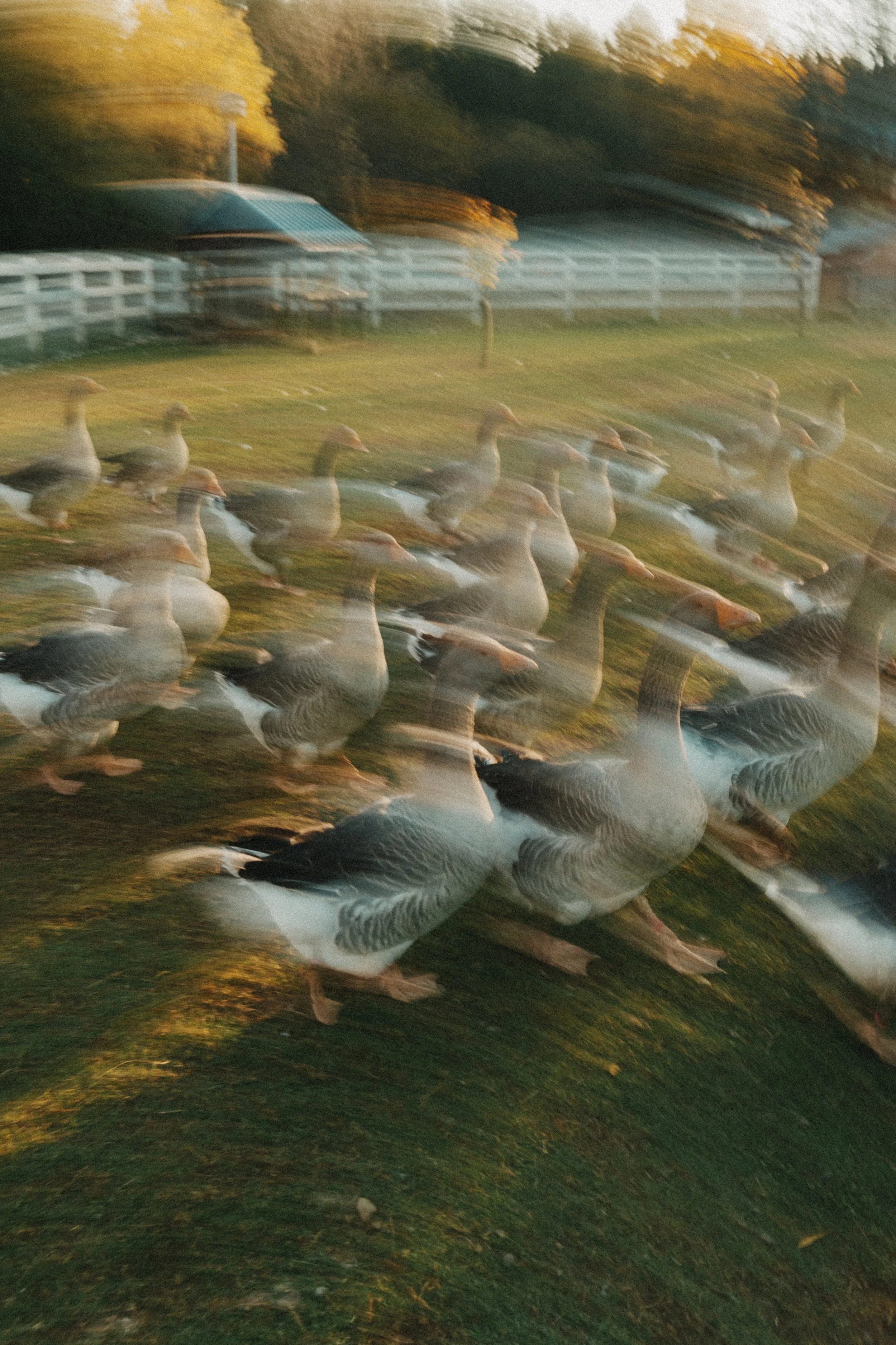 251024_GDO (1090).jpg