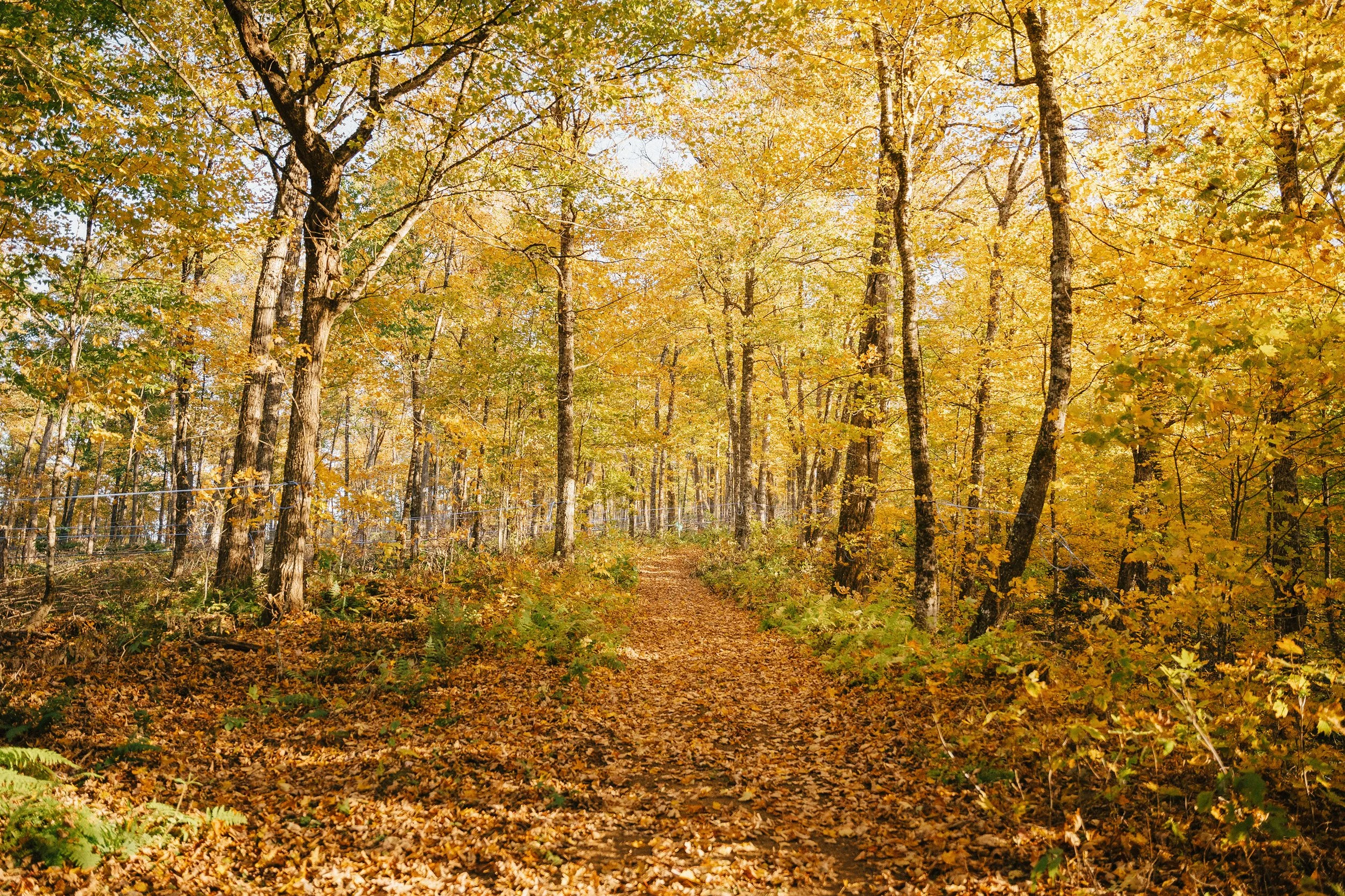 PPAQ_250930 (887).jpg