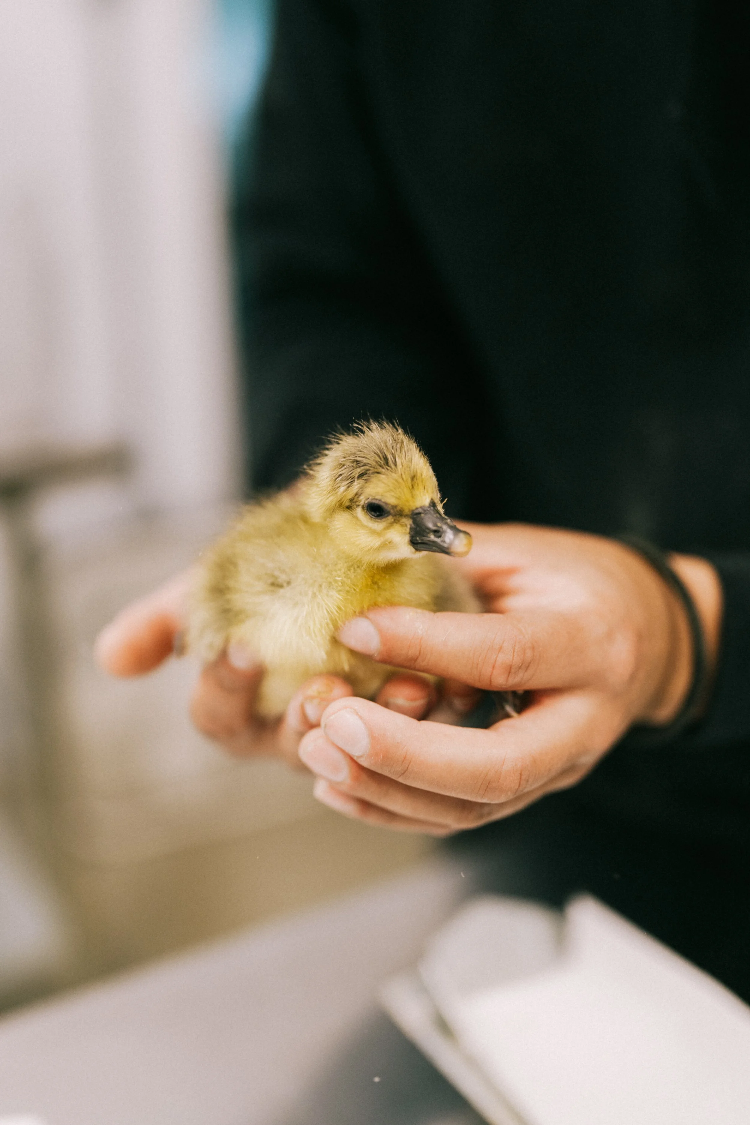 240524_GDO_Edit (23) - Copie.jpg